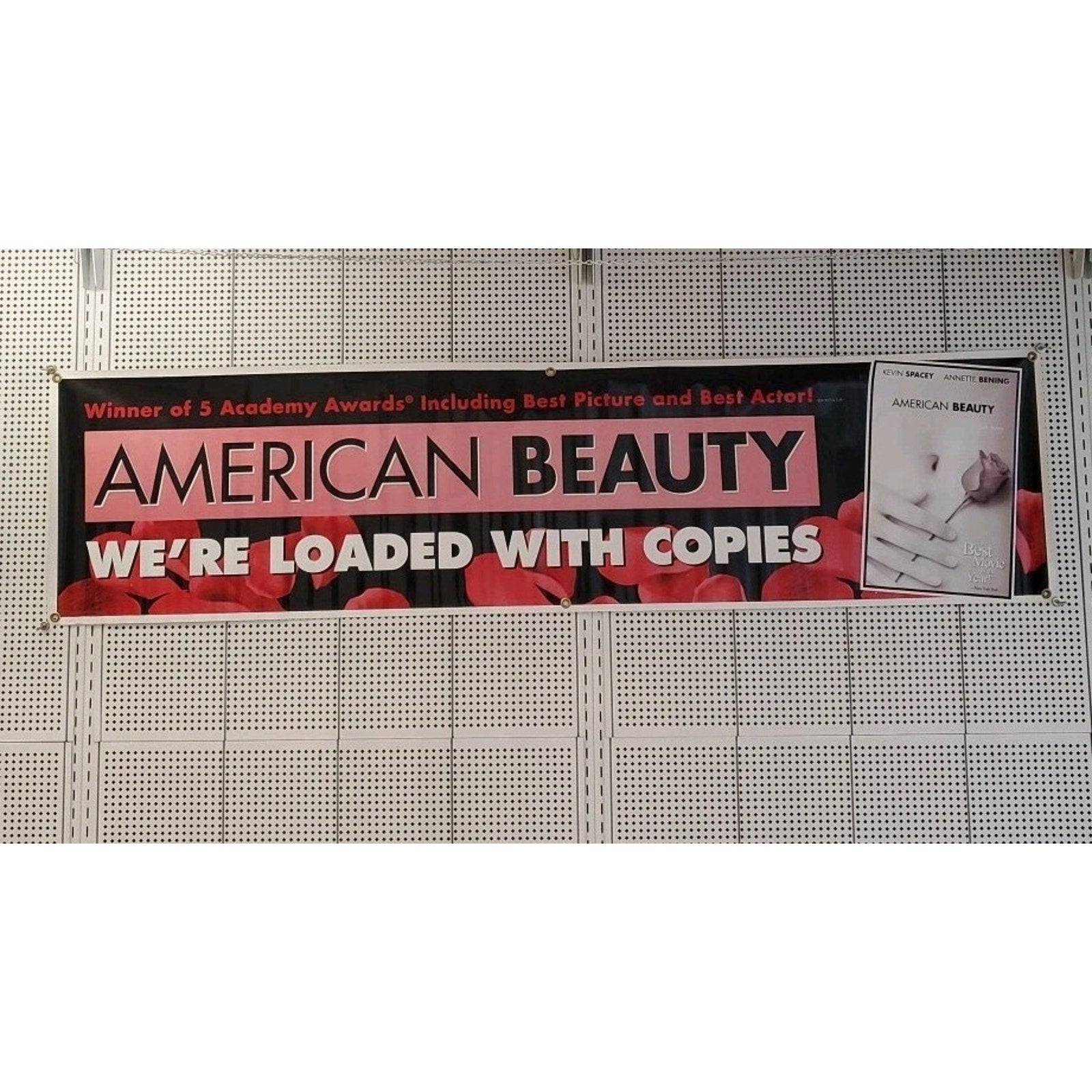 American Beauty 71x19 Movie Poster