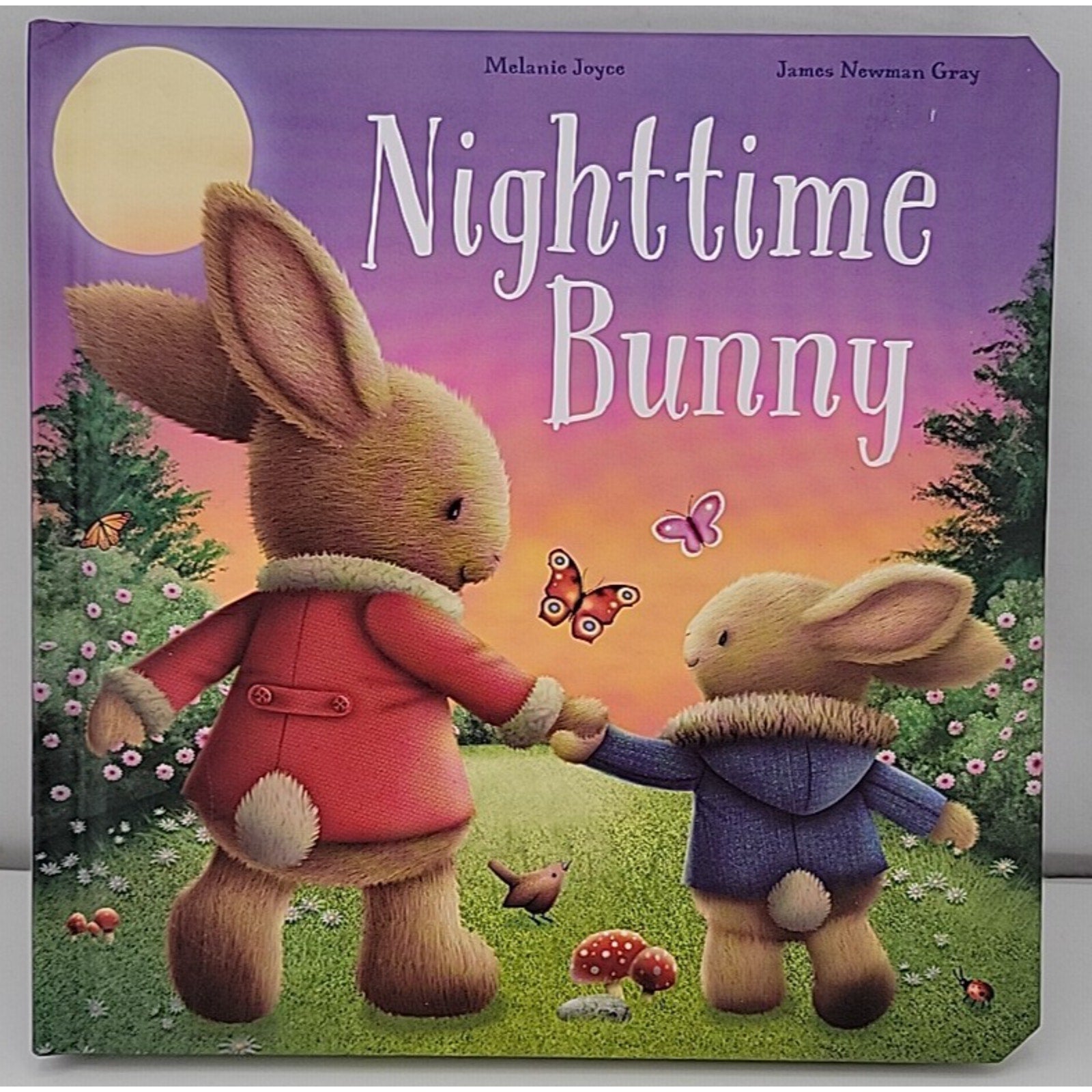 Nighttime Bunny: Padded Board Book by Melanie Joyce (Board book)