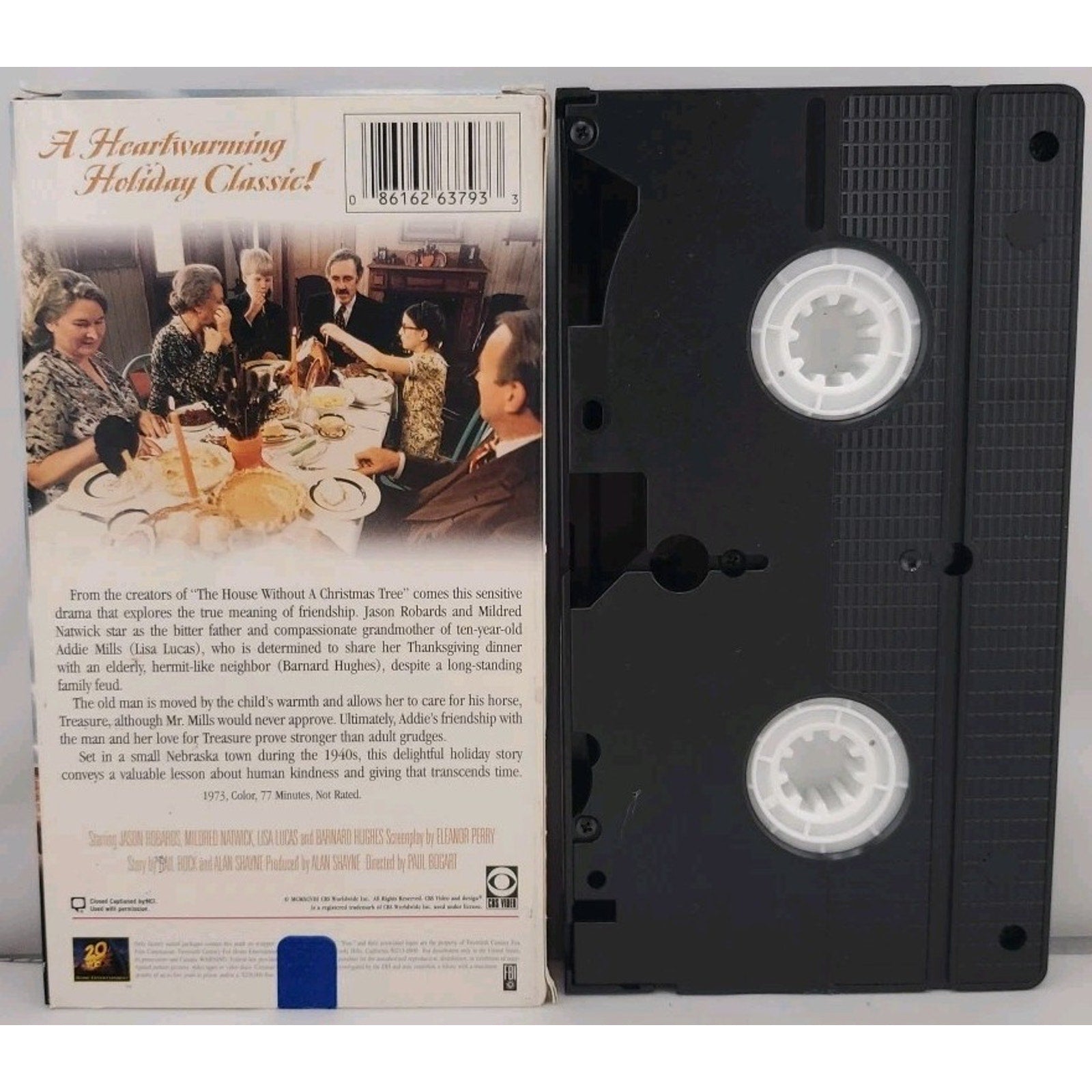 The Holiday Treasure VHS 1973