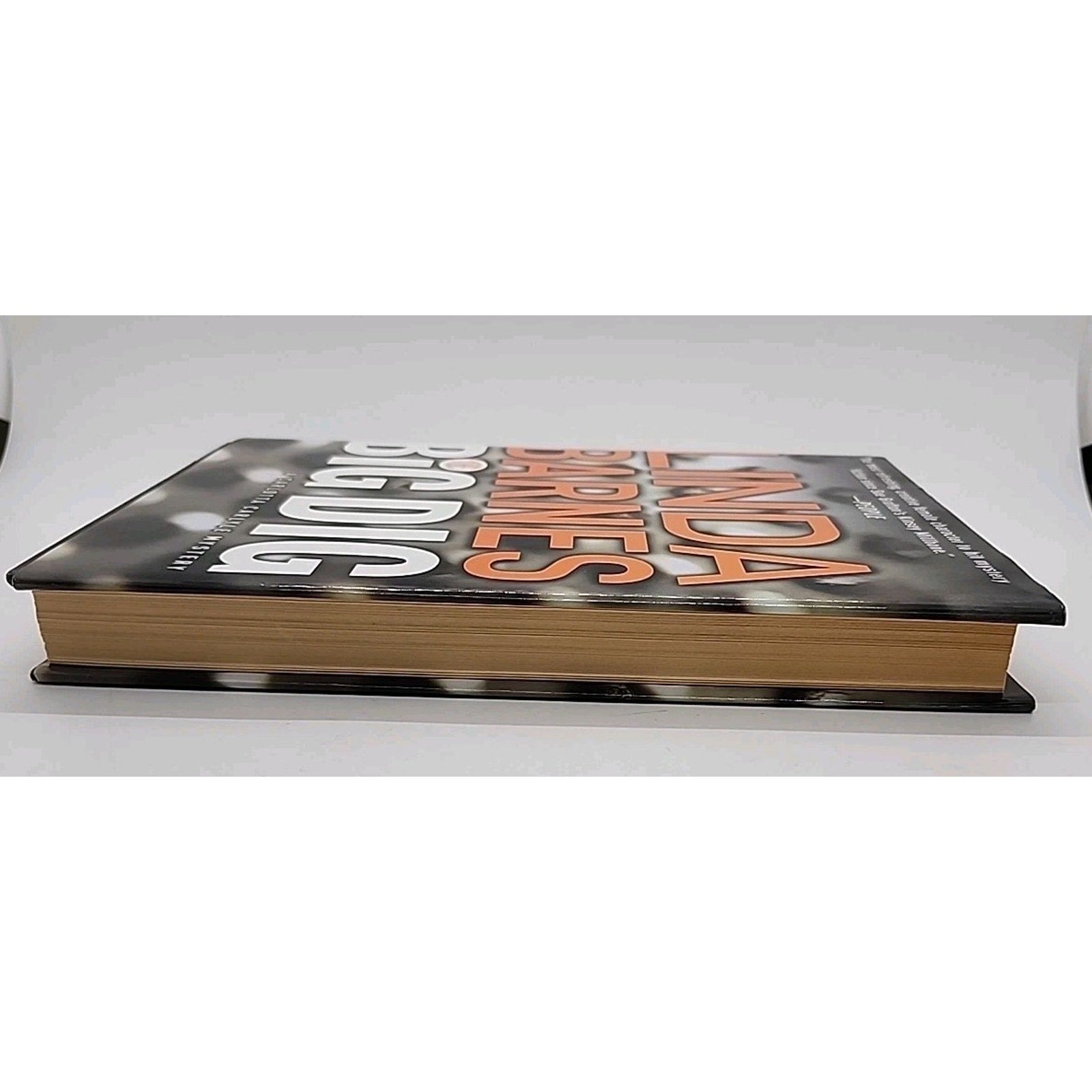 Big Dig by Linda Barnes (2002, Hardcover)