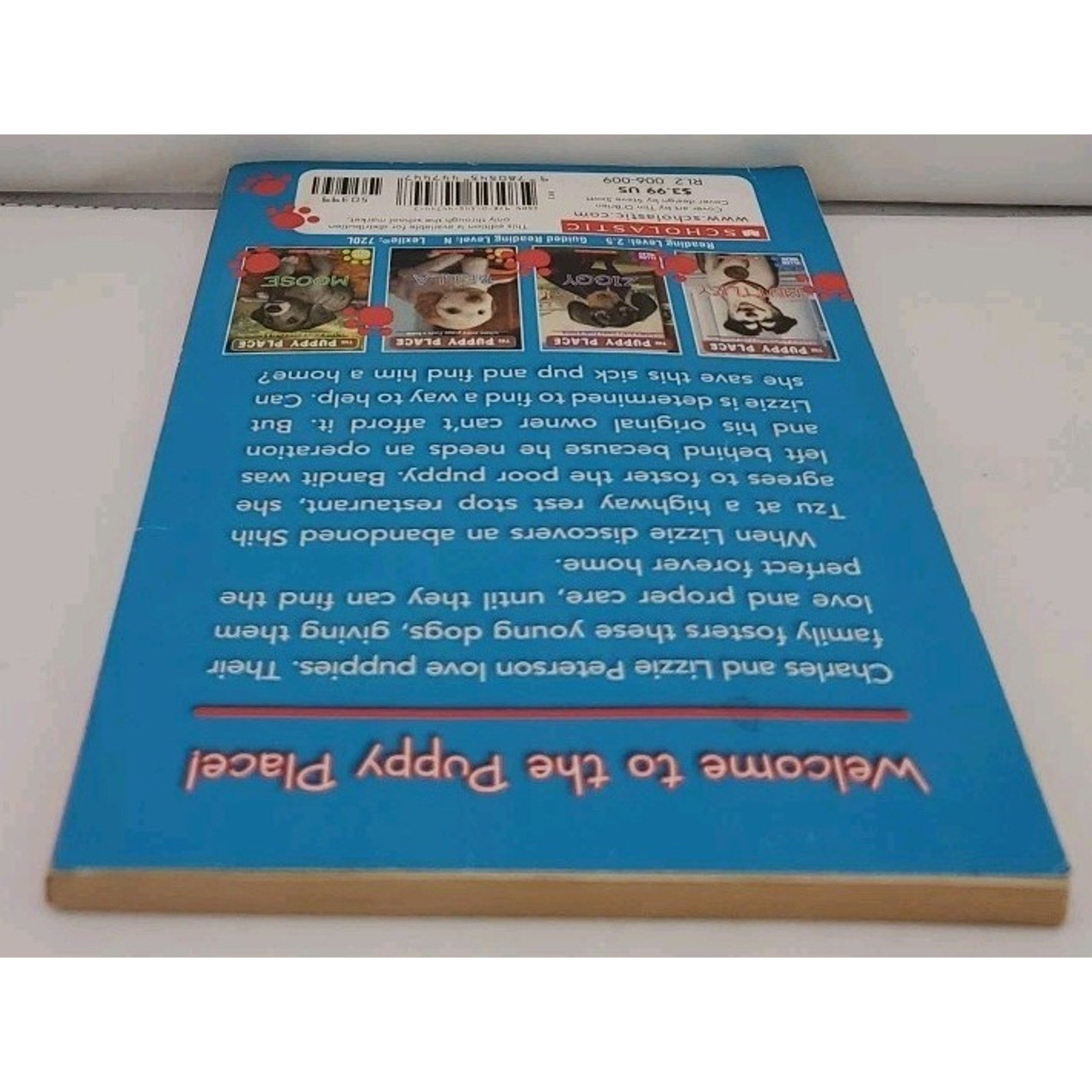 The Puppy Place: Bandit by Ellen Miles (2011, Paperback)