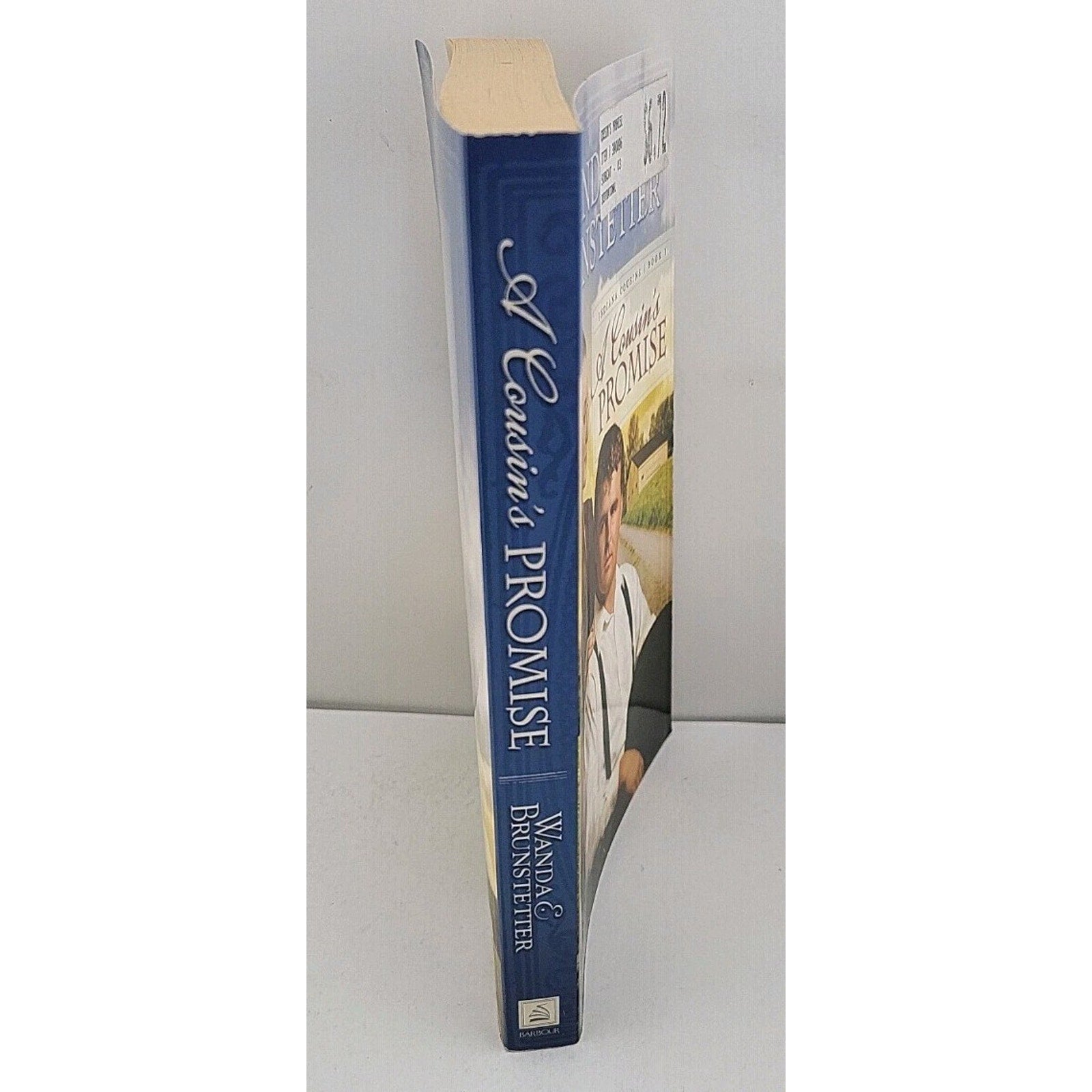 Cousin's Promise by Wanda E. Brunstetter (2009, Trade Paperback)