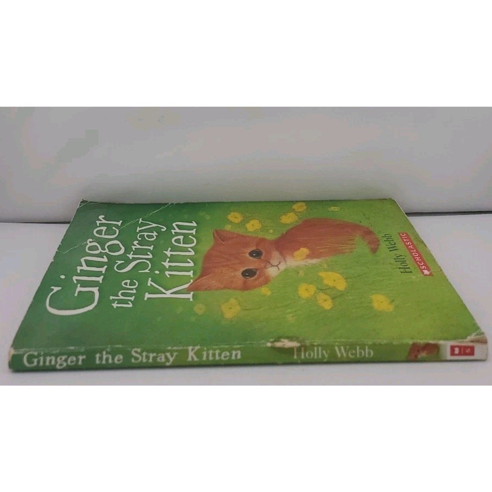 Ginger the Stray Kitten by Holly Webb