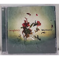 Baptized by Daughtry (CD, 2013)