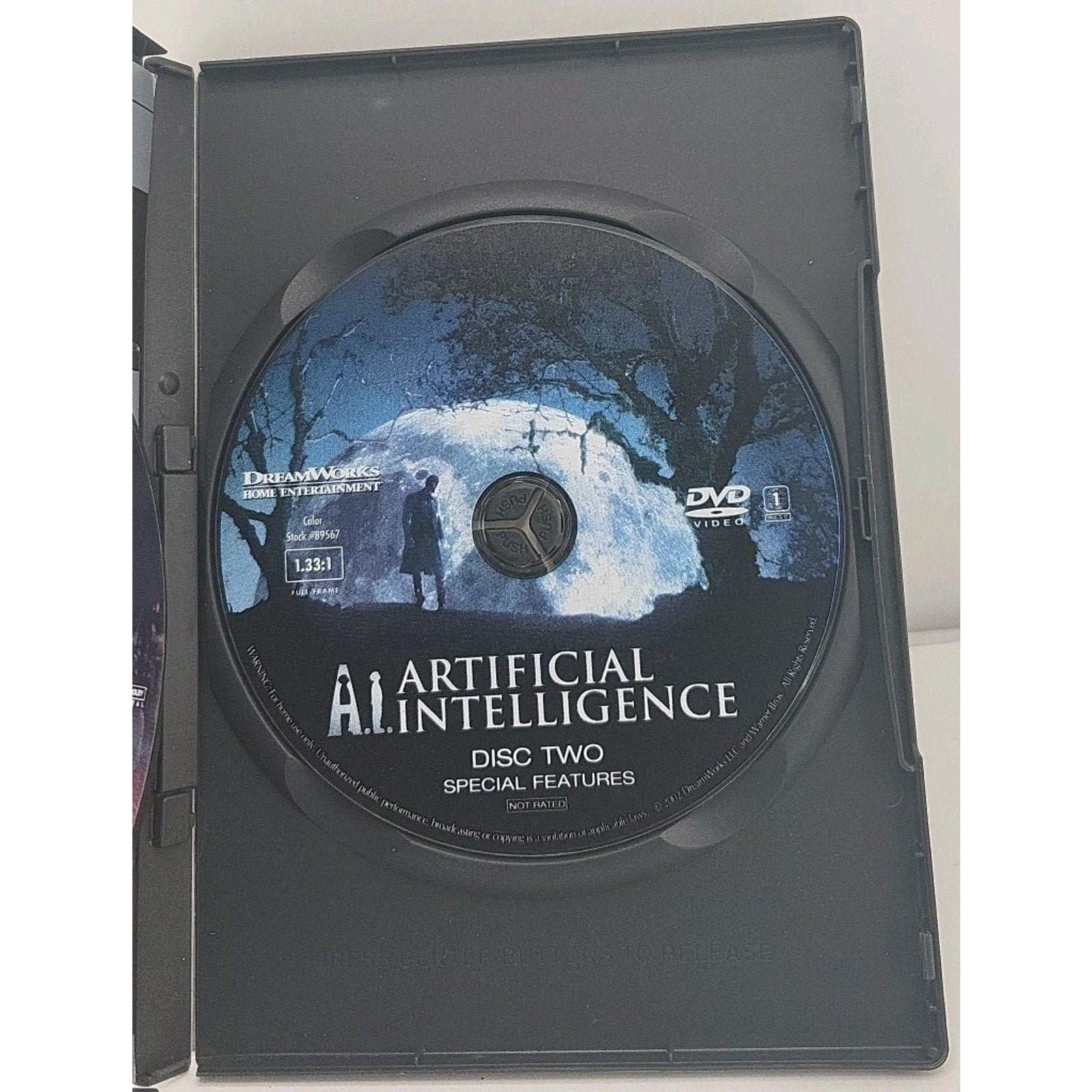 A.I. Artificial Intelligence (DVD, 2001)
