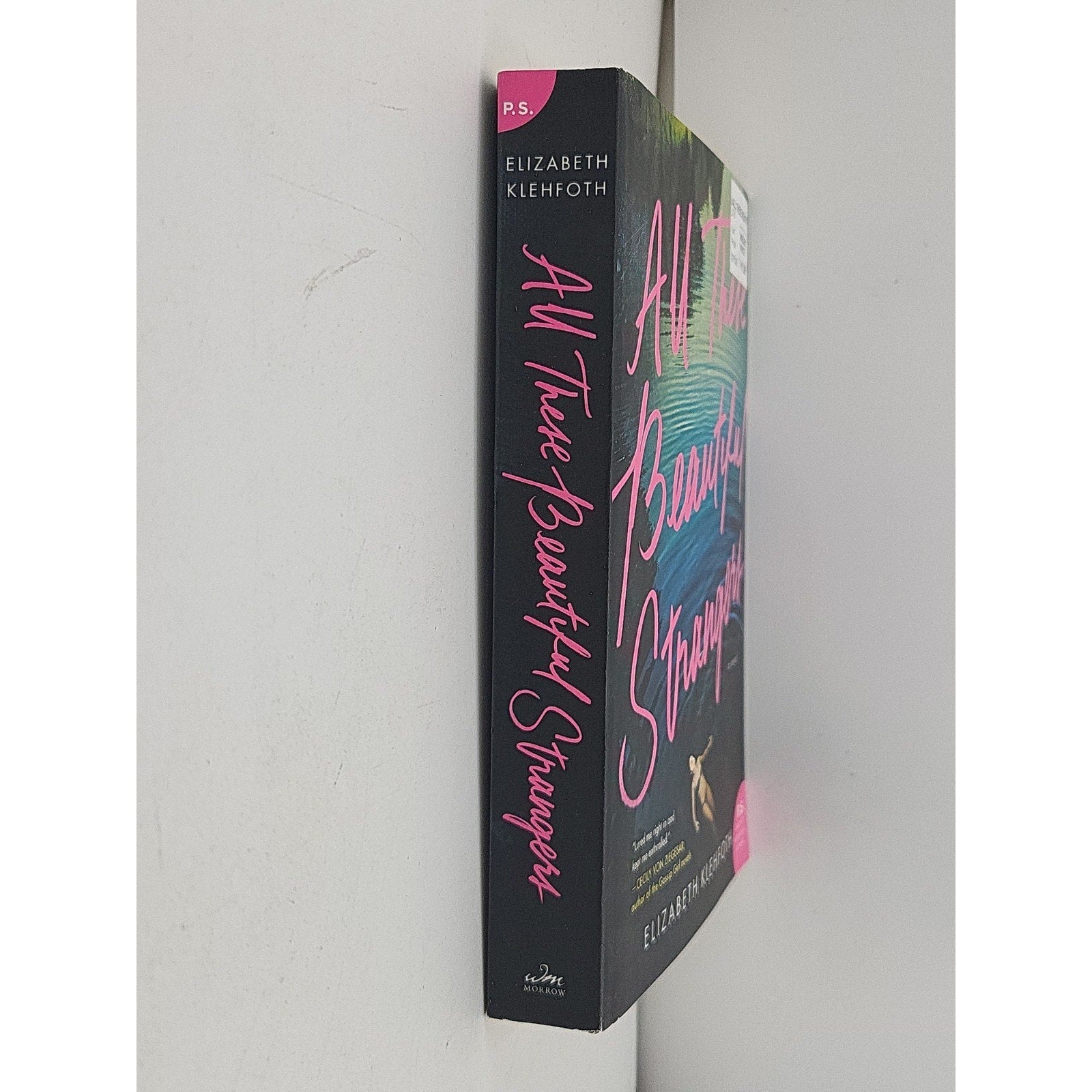 All These Beautiful Strangers : A Novel by Elizabeth Klehfoth (2019, Trade...