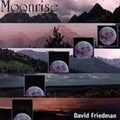 Moonrise [1997] by David Friedman (CD, Jun-1997, Passage Records Inc.)