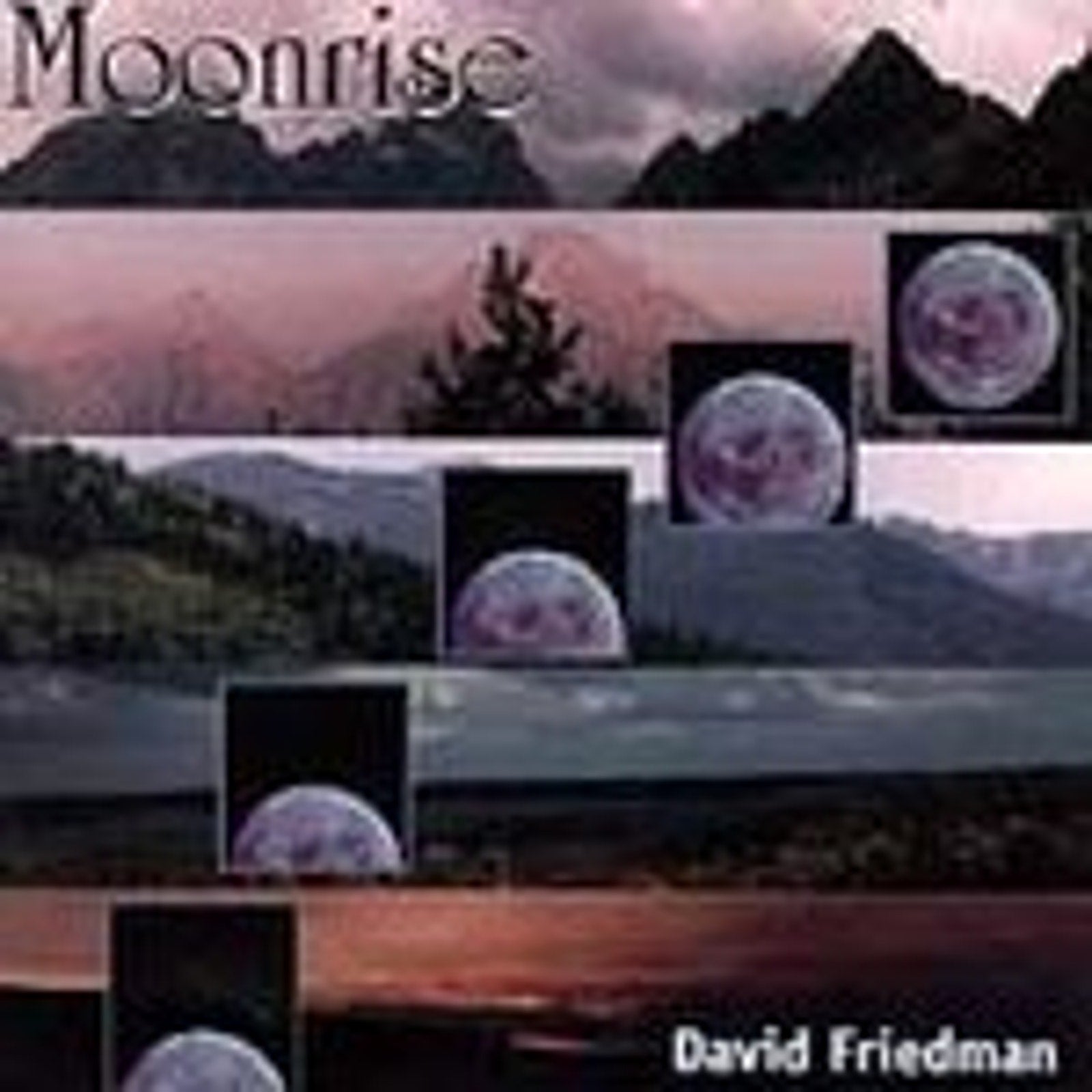 Moonrise [1997] by David Friedman (CD, Jun-1997, Passage Records Inc.)