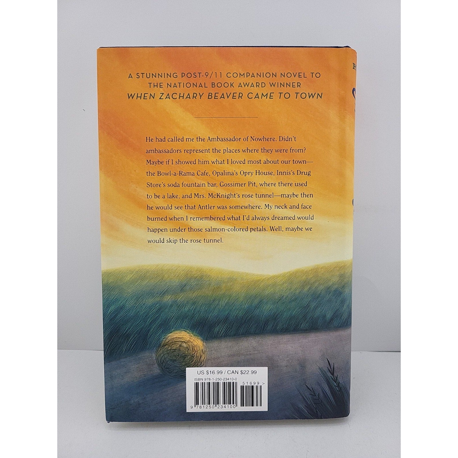Ambassador of Nowhere Texas by Kimberly Willis Holt (2021, Hardcover)