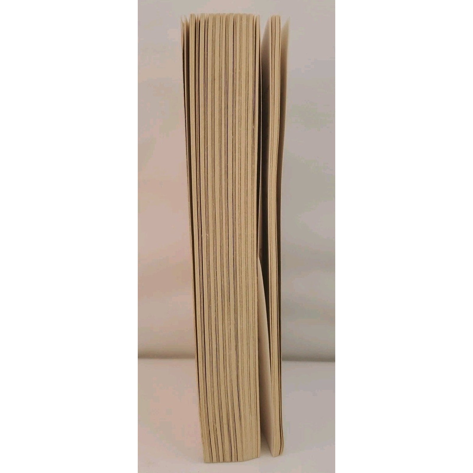 Split Image by Robert B. Parker (2011, Trade Paperback)