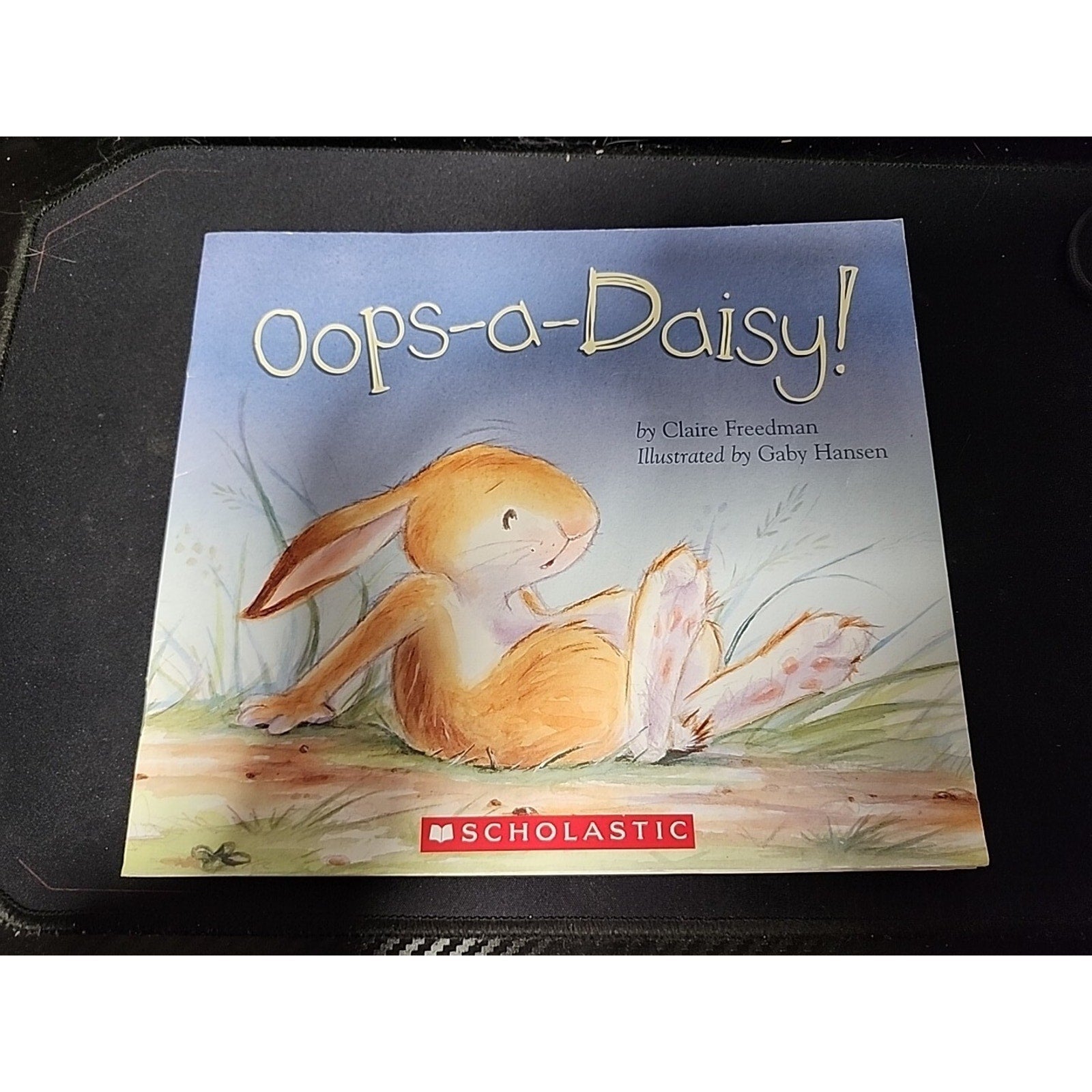 Oops-a-Daisy - Paperback By Claire Freedman