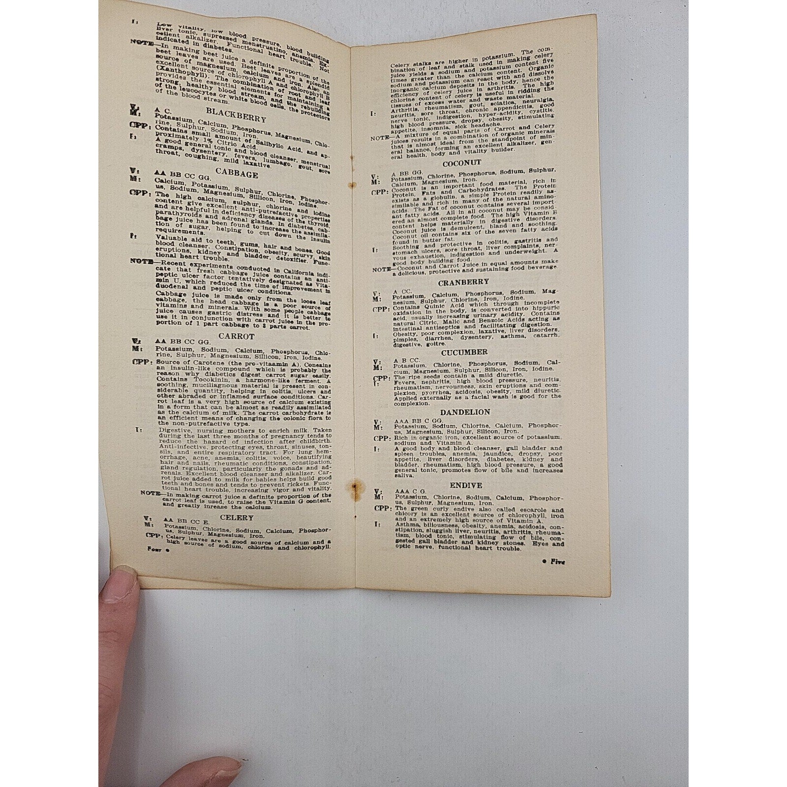 JUICE THERAPY 1944 Nature's Way to Health Booklet Recipes Vegetables Fruits Cure