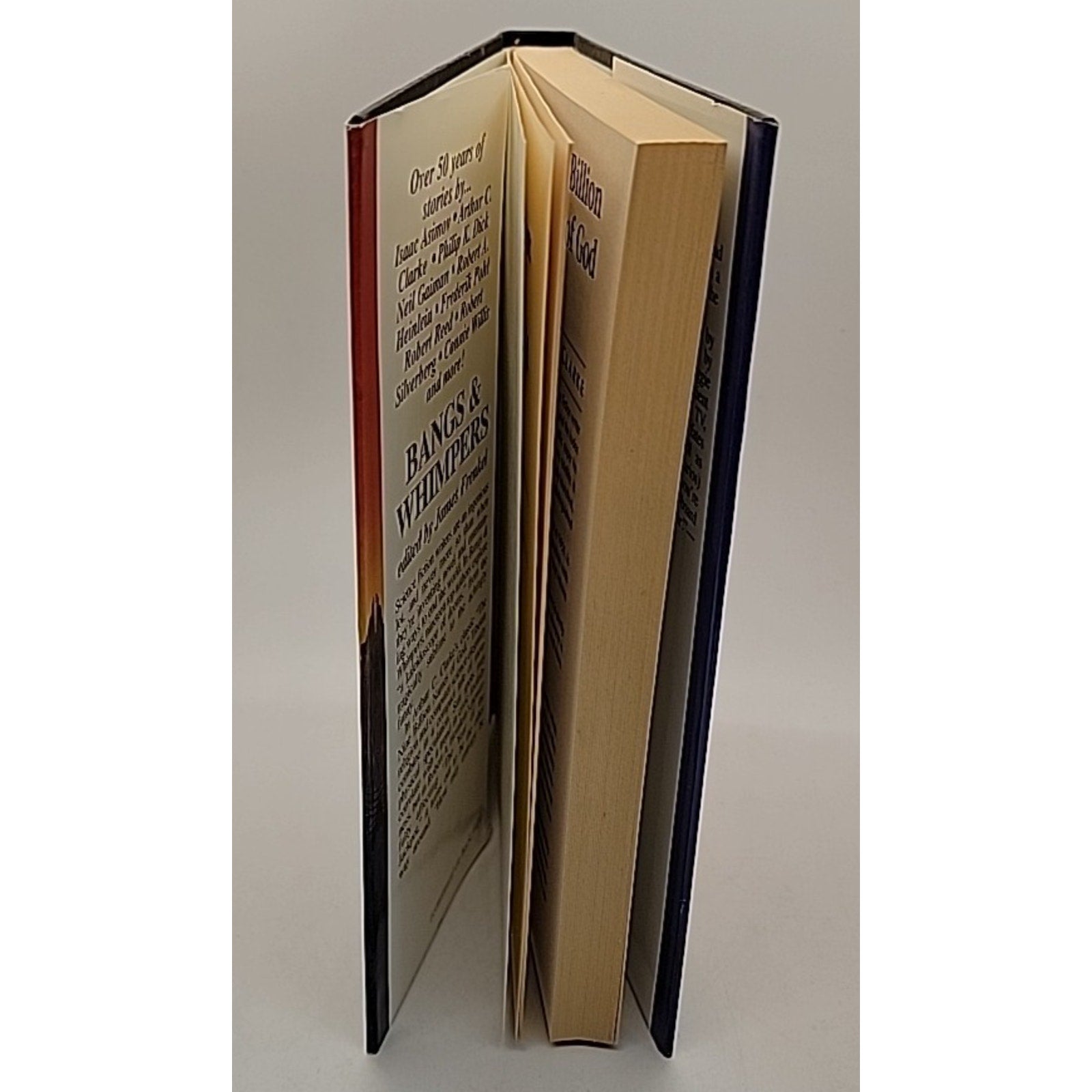Bangs and Whimpers: Stories About the End of the World (Hardcover)