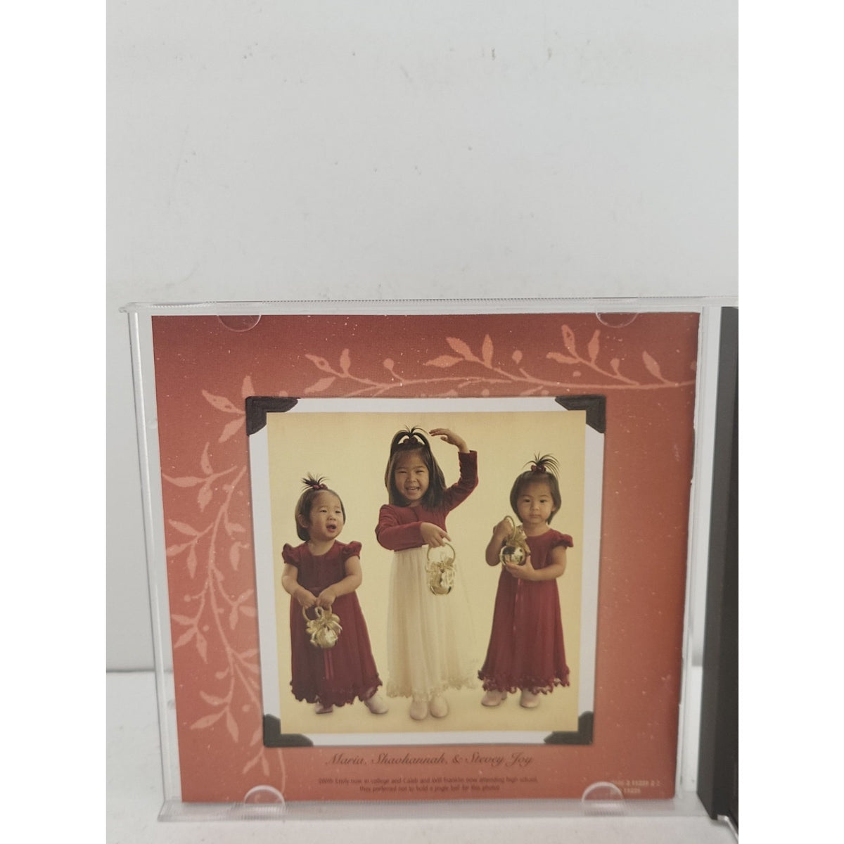 All I Really Want for Christmas by Steven Curtis Chapman (CD, 2005)
