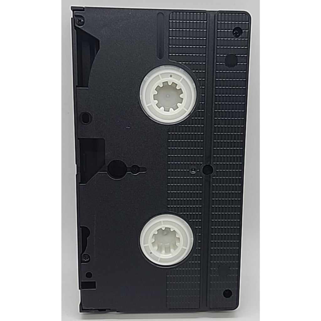 Danielle Steel's Zoya (VHS)