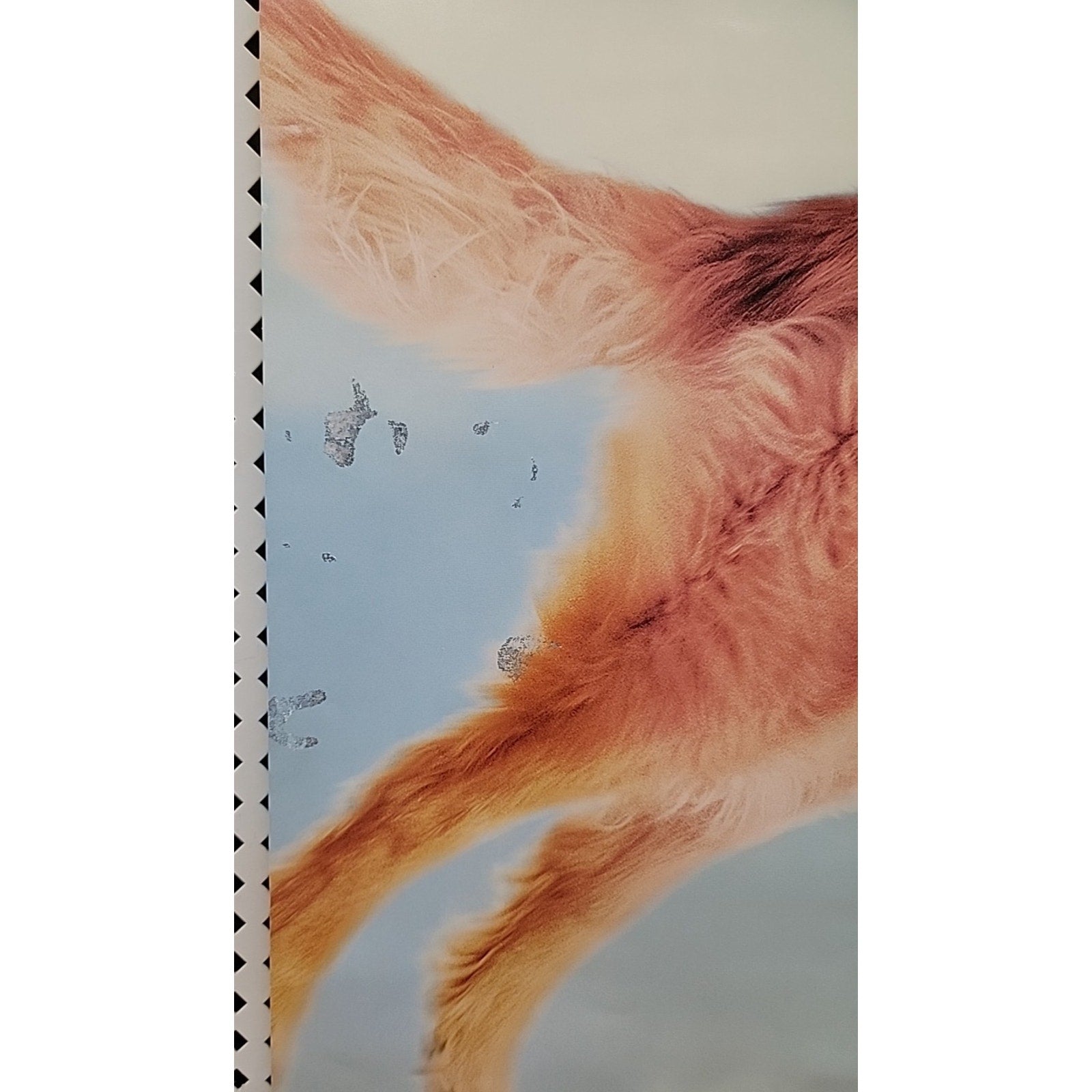 Double Sided Original Movie Posters ~ 27”x40” Air Bud