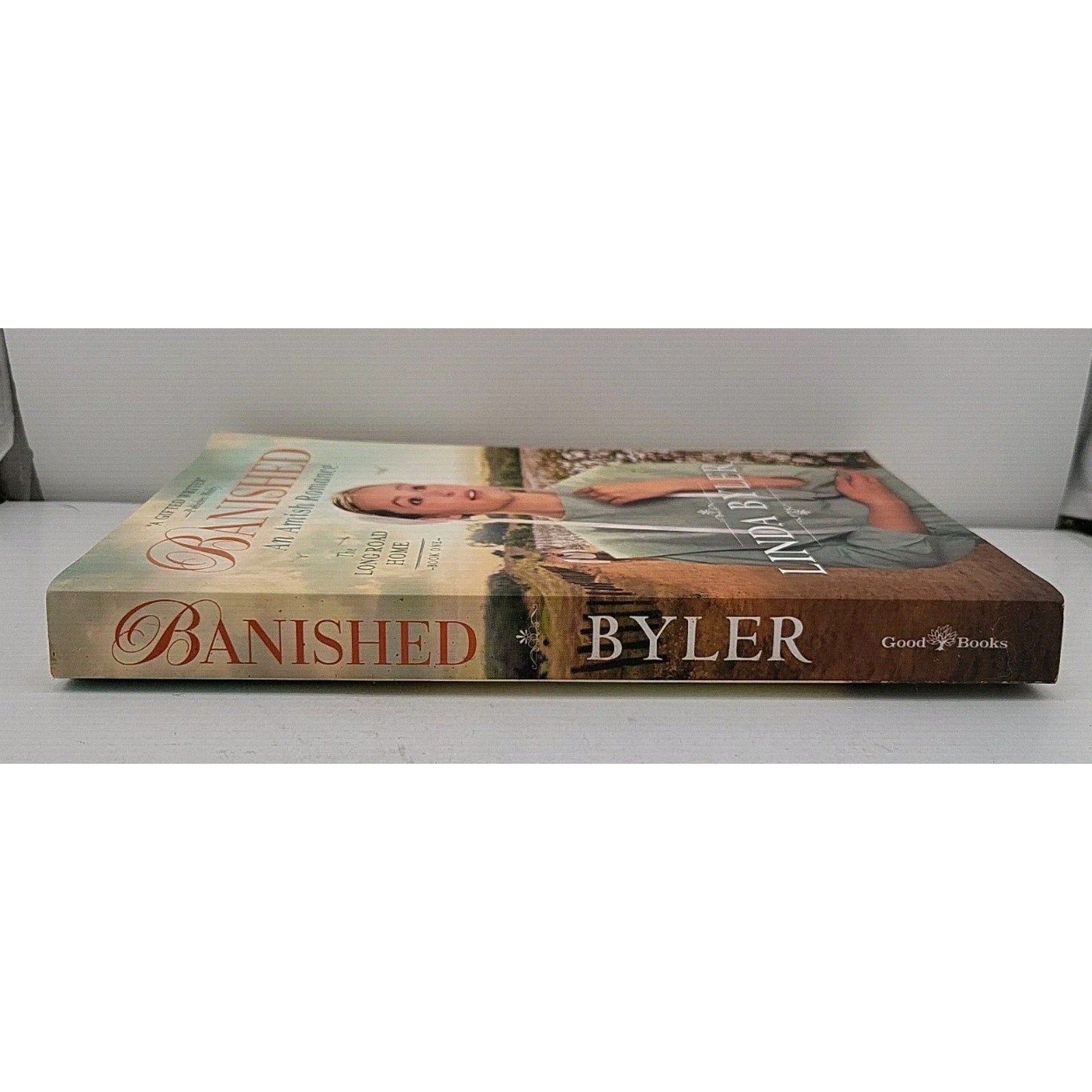 Banished : An Amish Romance by Linda Byler (2021, Trade Paperback)