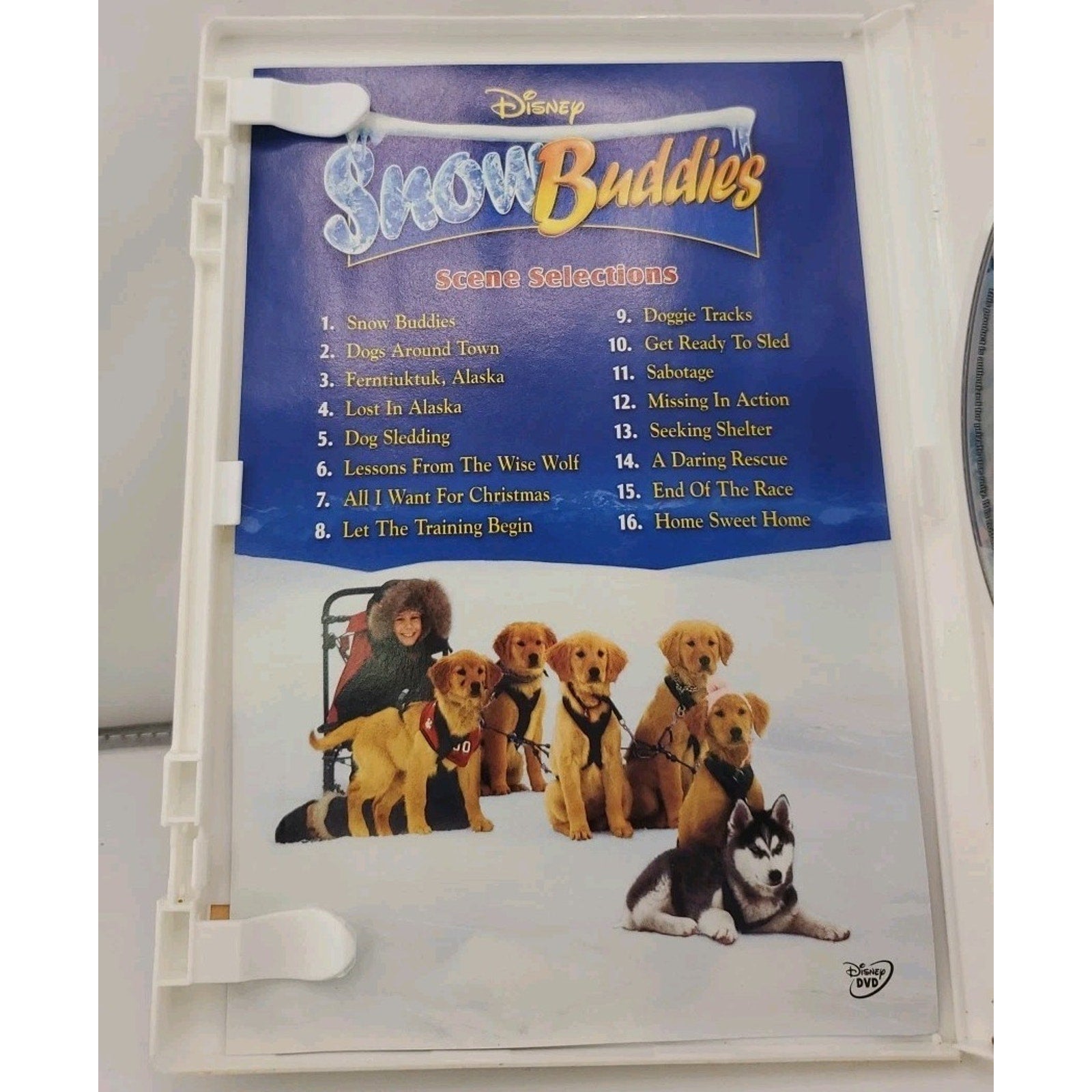 Snow Buddies (DVD)