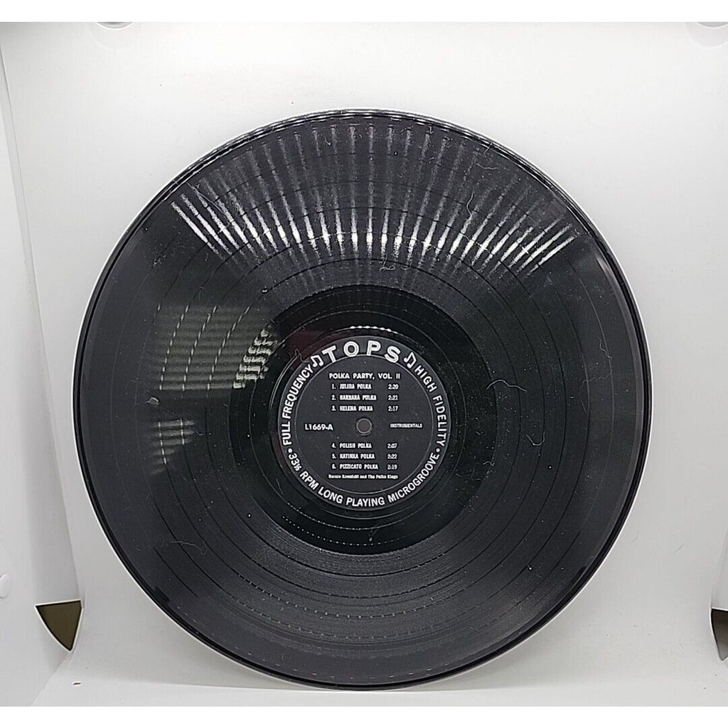 Polka Party Vol Ii (Record)