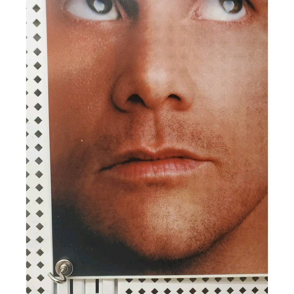 Eternal Sunshine 49x18 Family Video Window Banner
