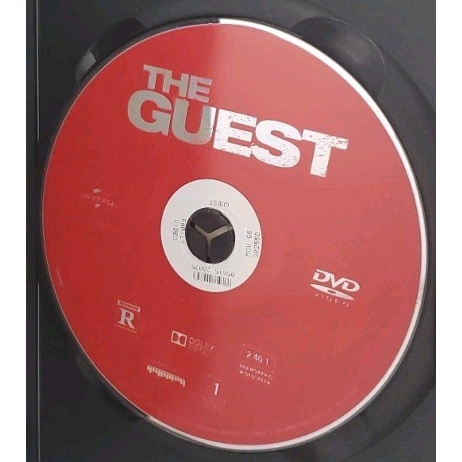 The Guest (DVD, 2014)