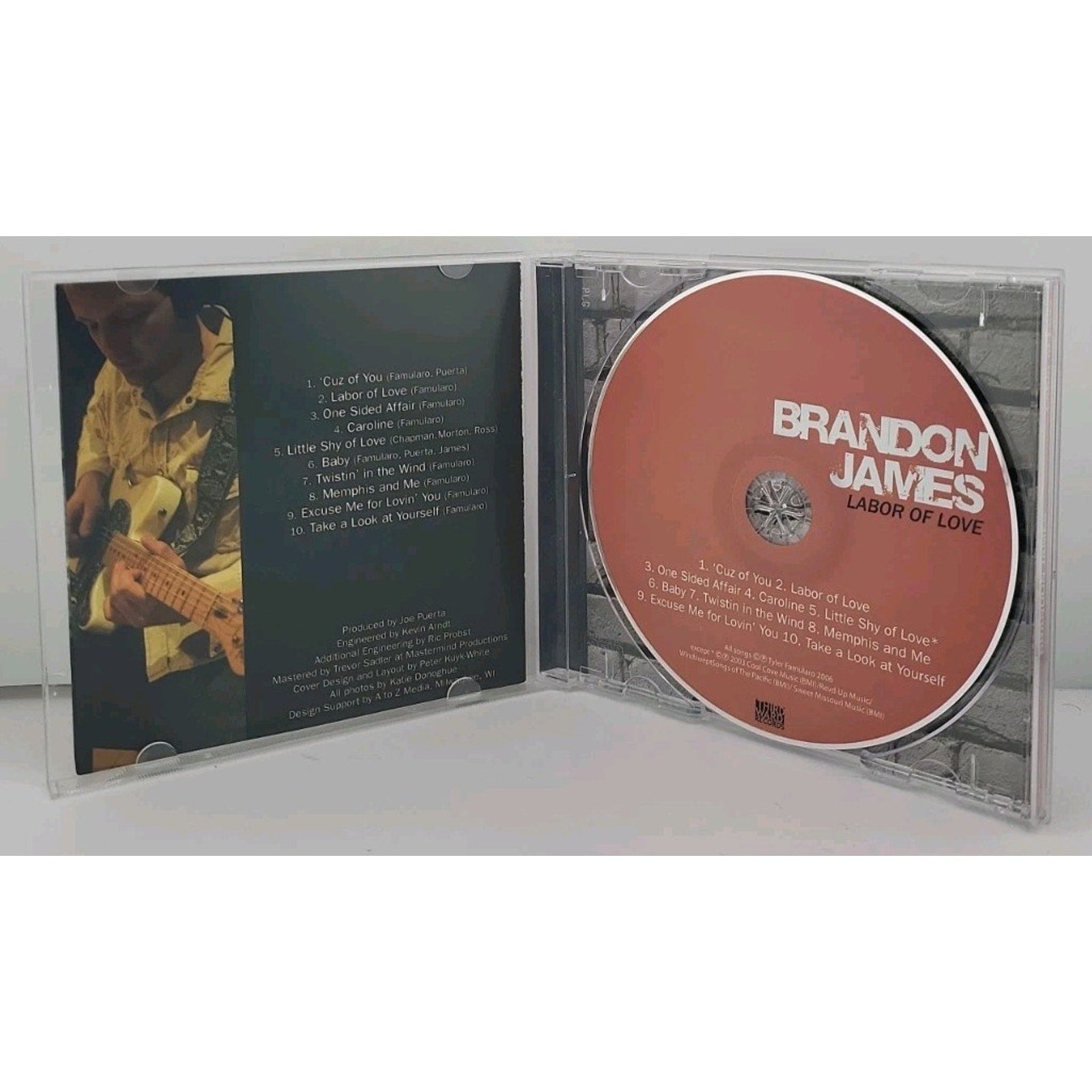 Labor of Love by Brandon James (CD, 2008)