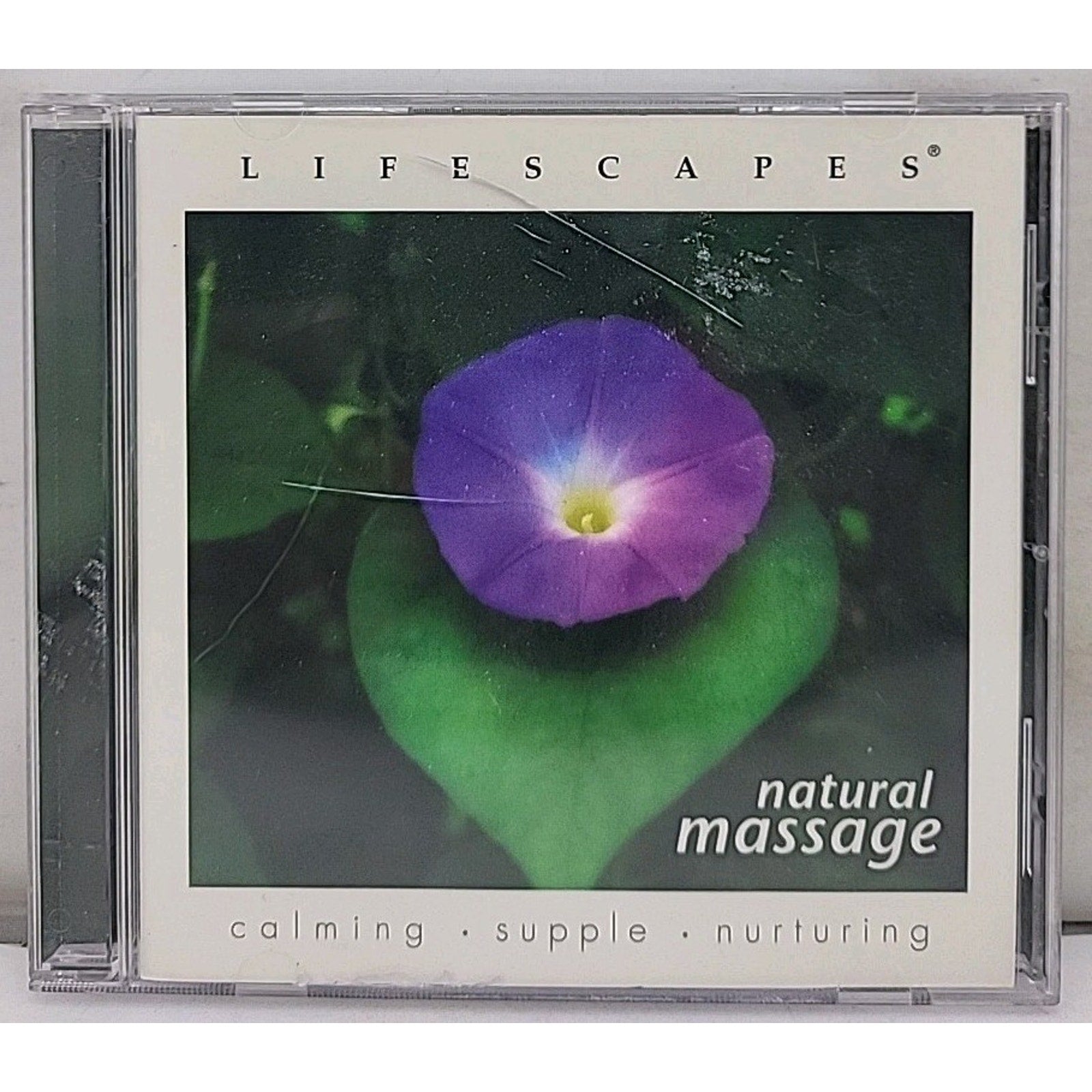 Natural Massage by Paul Frantzich/Timothy Frantzich (CD, 2000, Lifescapes...