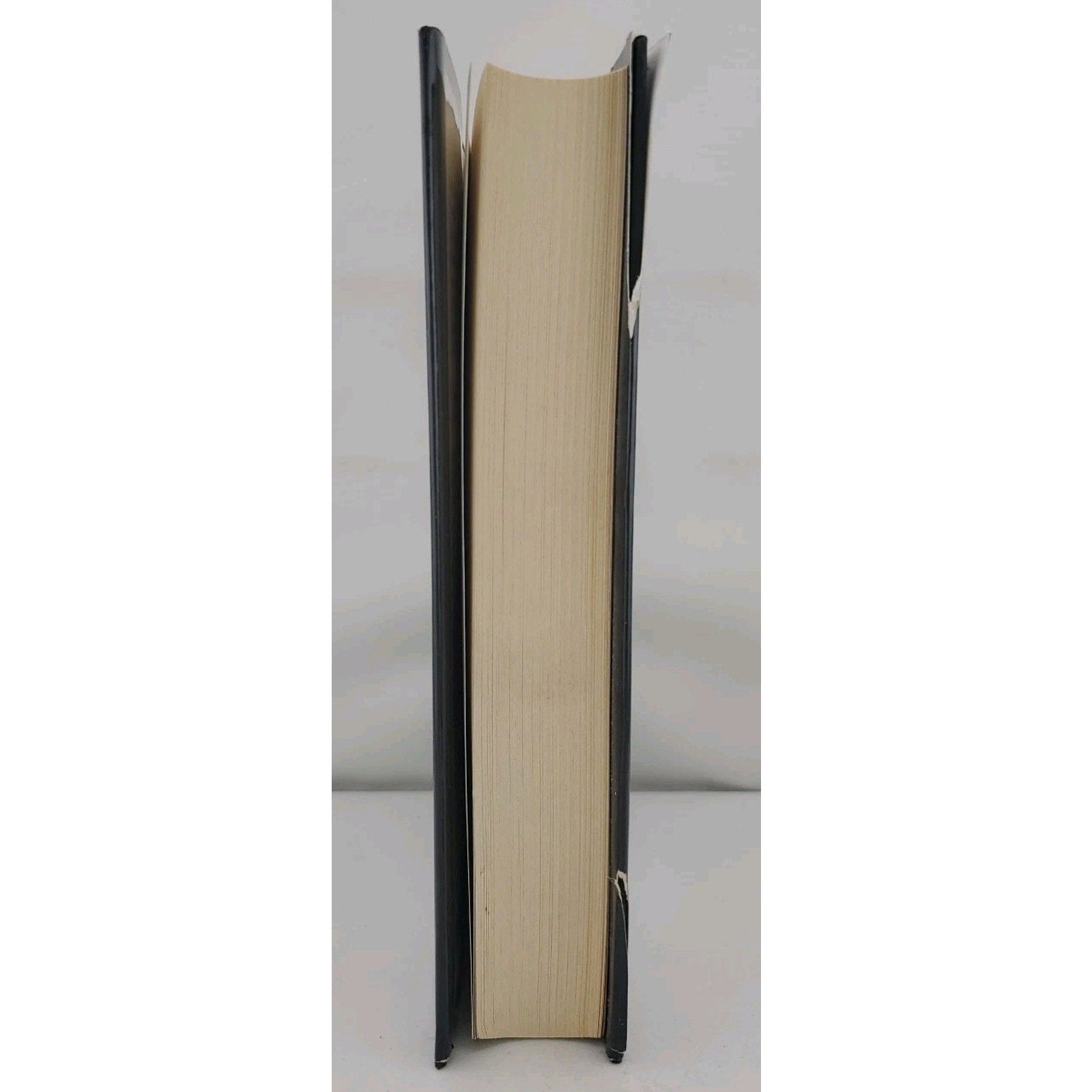Conquistador by S. M. Stirling (2003, Hardcover)