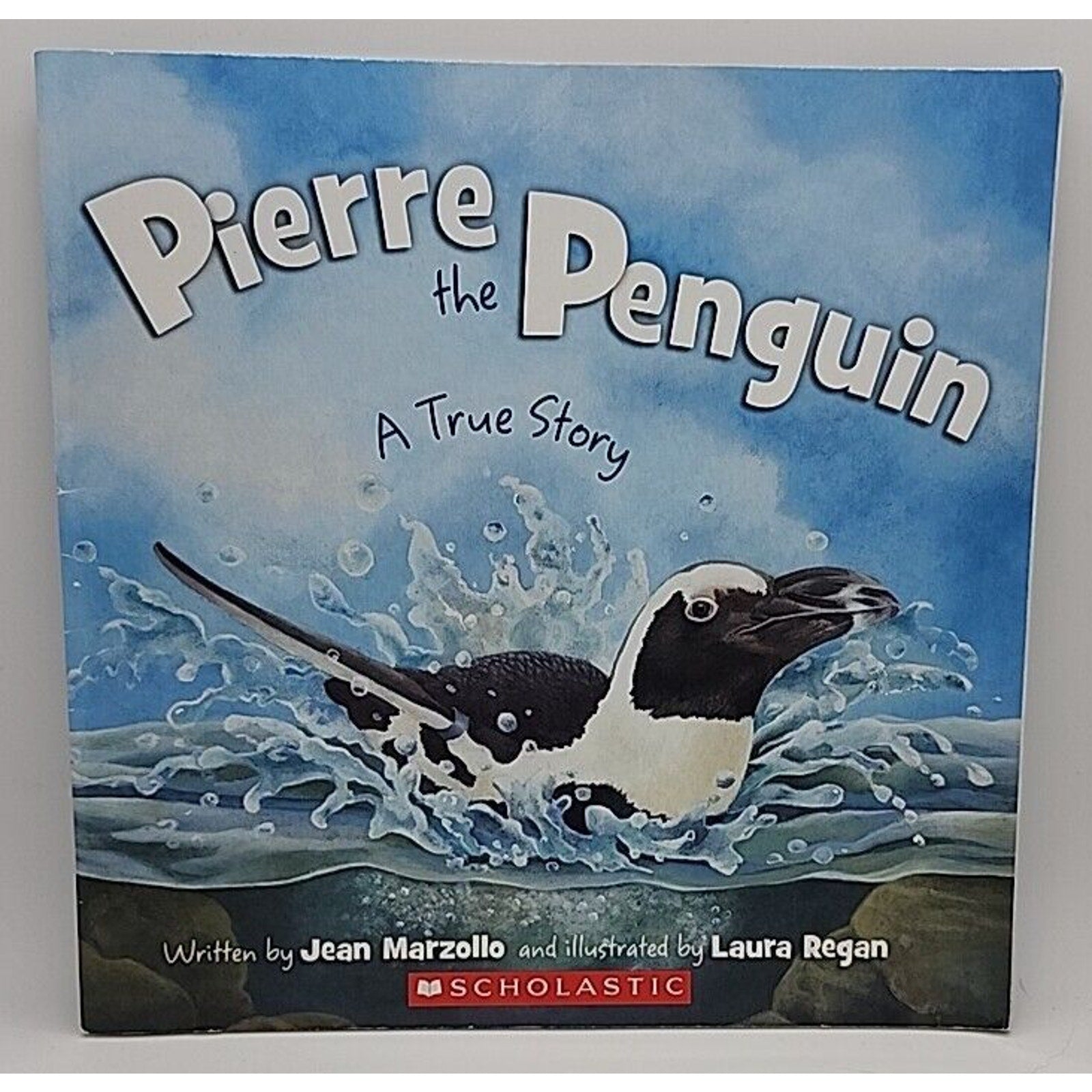 Pierre the Penguin a True Story (Paperback)