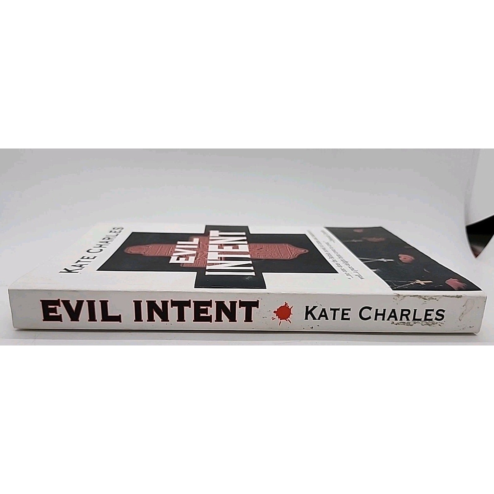 Evil Intent by Kate Charles (2010, Perfect)