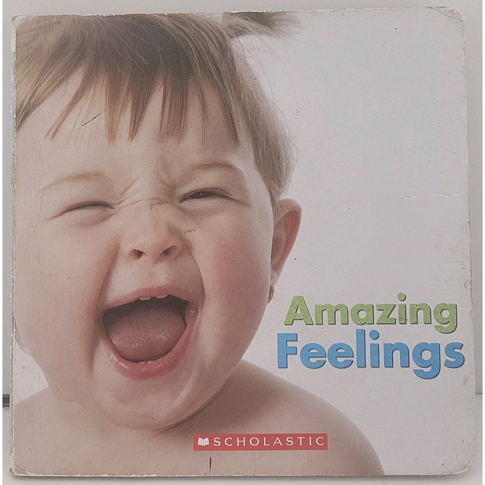 Amazing Feelings (Scholastic) Board Book by Anna W. Bardaus (2014)