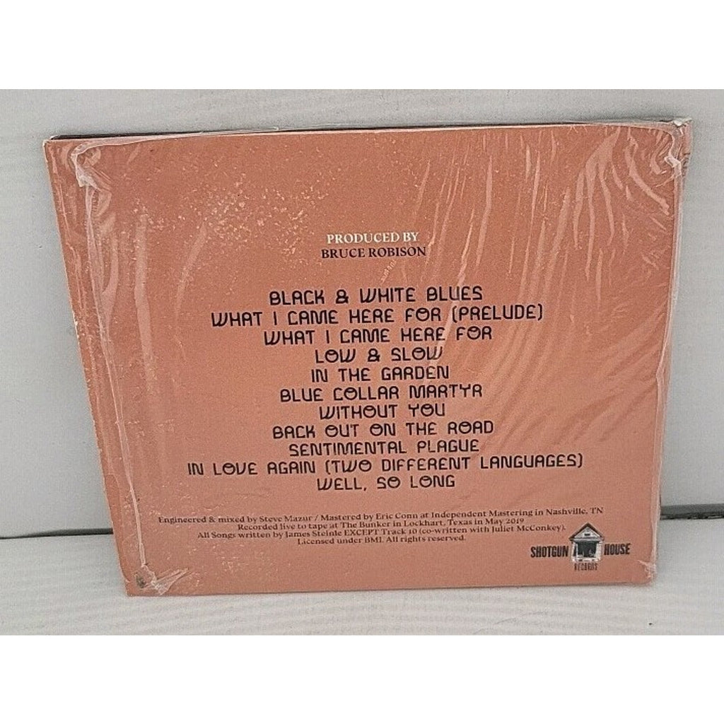 James Steinle - What I Came Here For CD *Brand New*