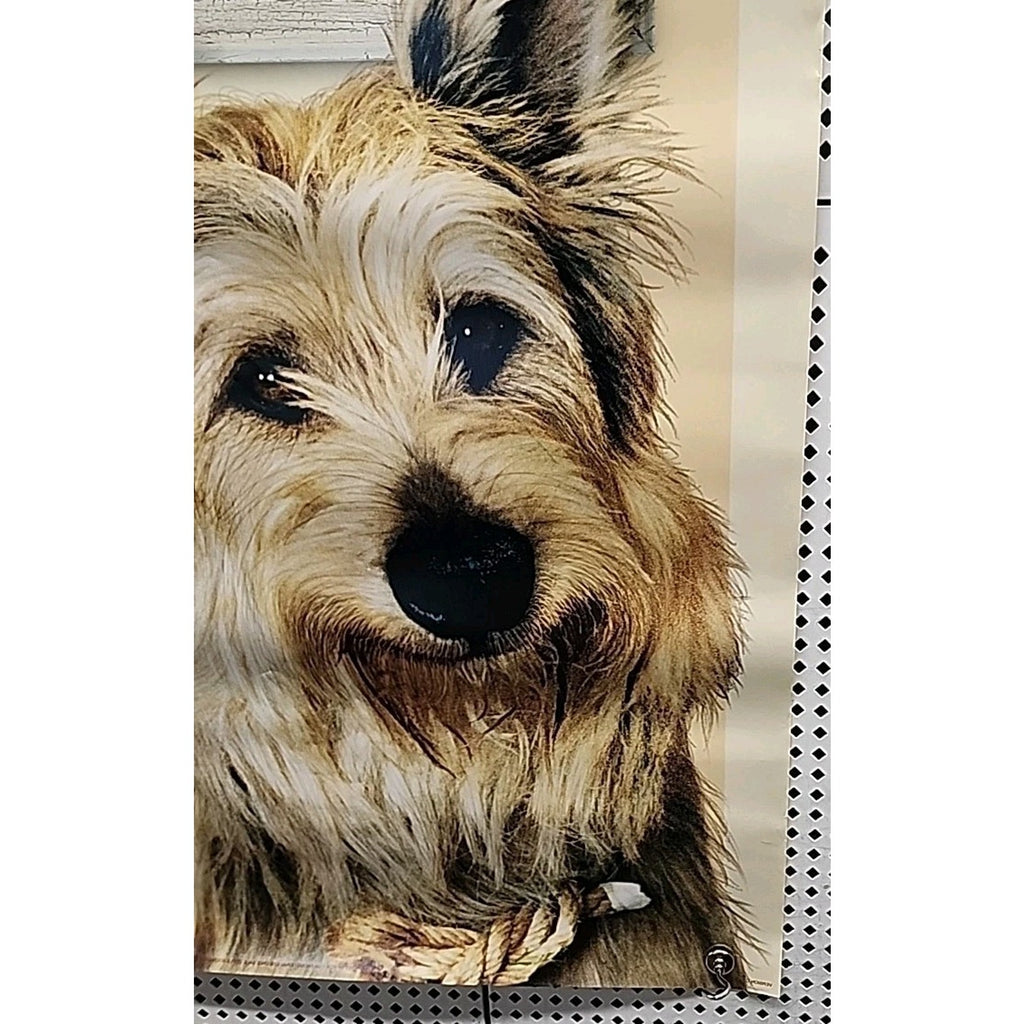 Because of Winn-Dixie 2005 Double Sided Original Movie Poster 27"x40"