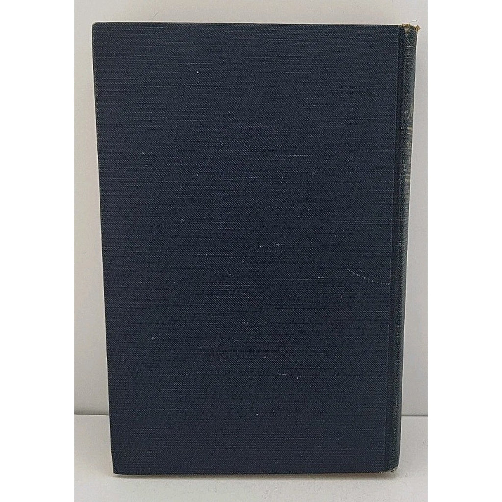The Mudlark by Theodore Bonnet