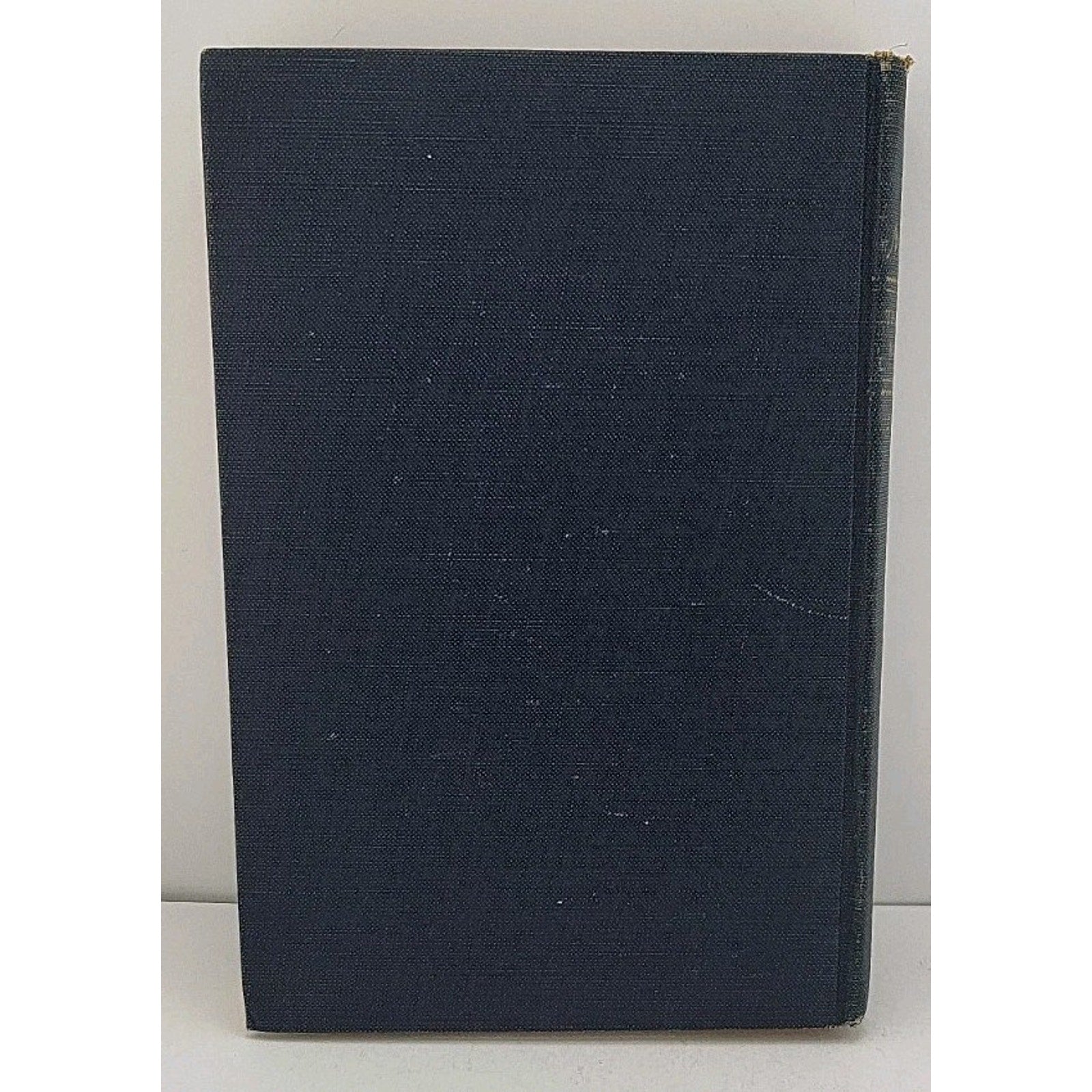 The Mudlark by Theodore Bonnet