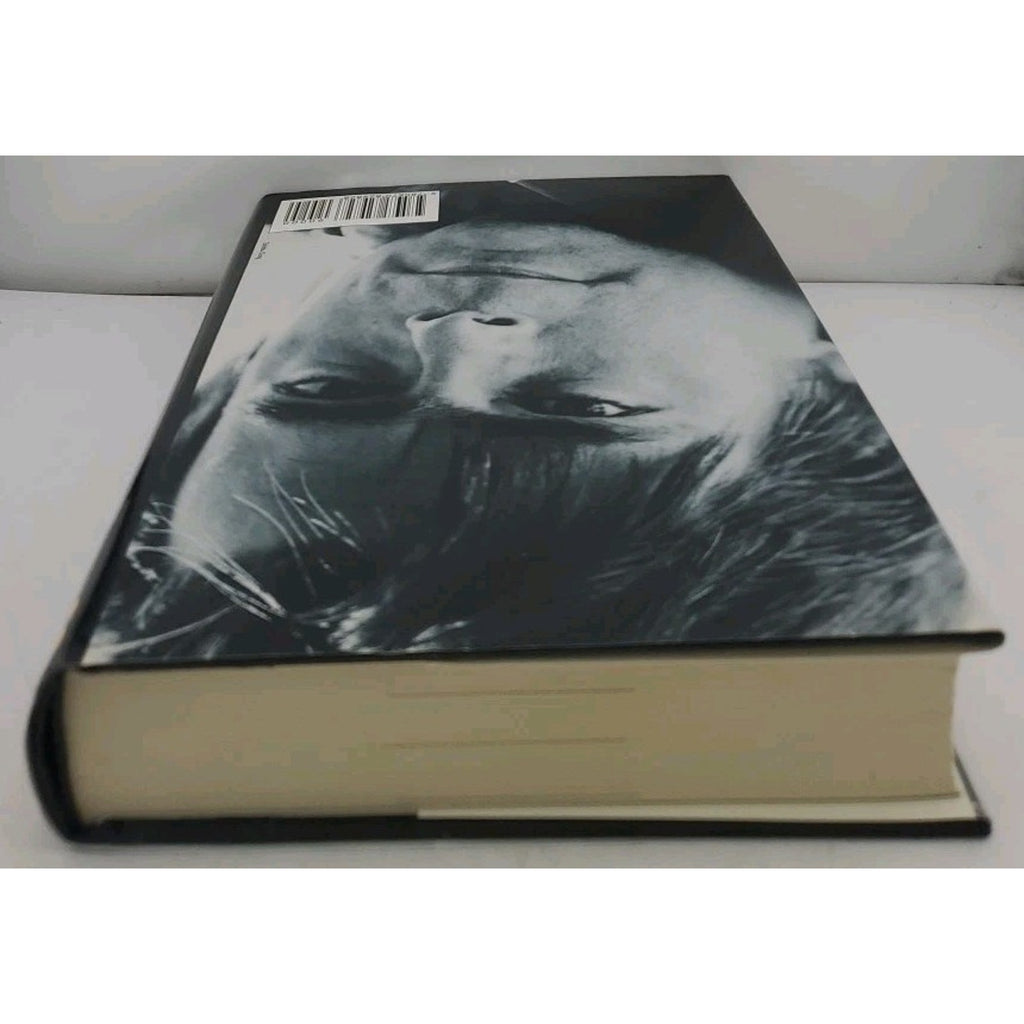 Dark Half by Stephen King (1989, Hardcover)