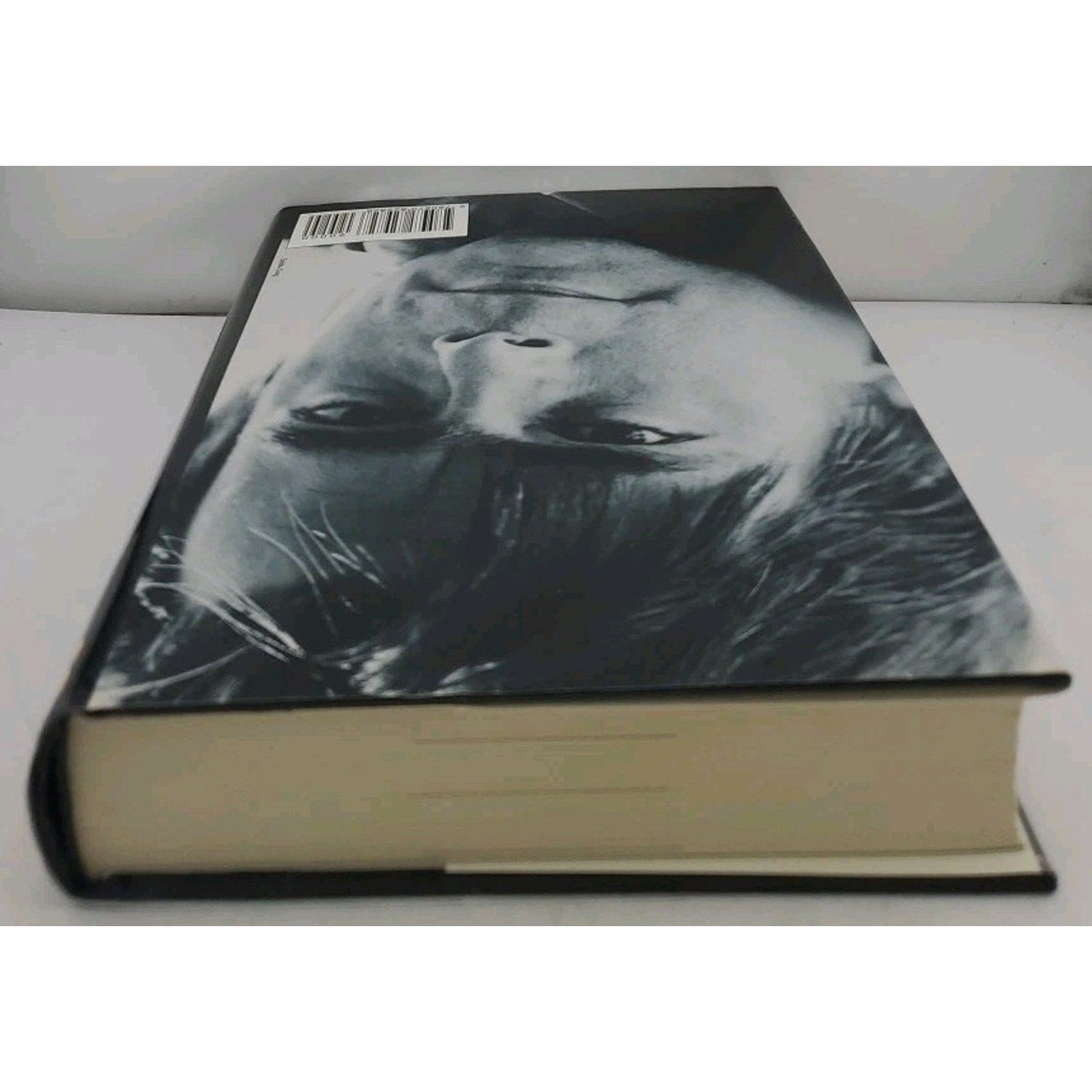 Dark Half by Stephen King (1989, Hardcover)