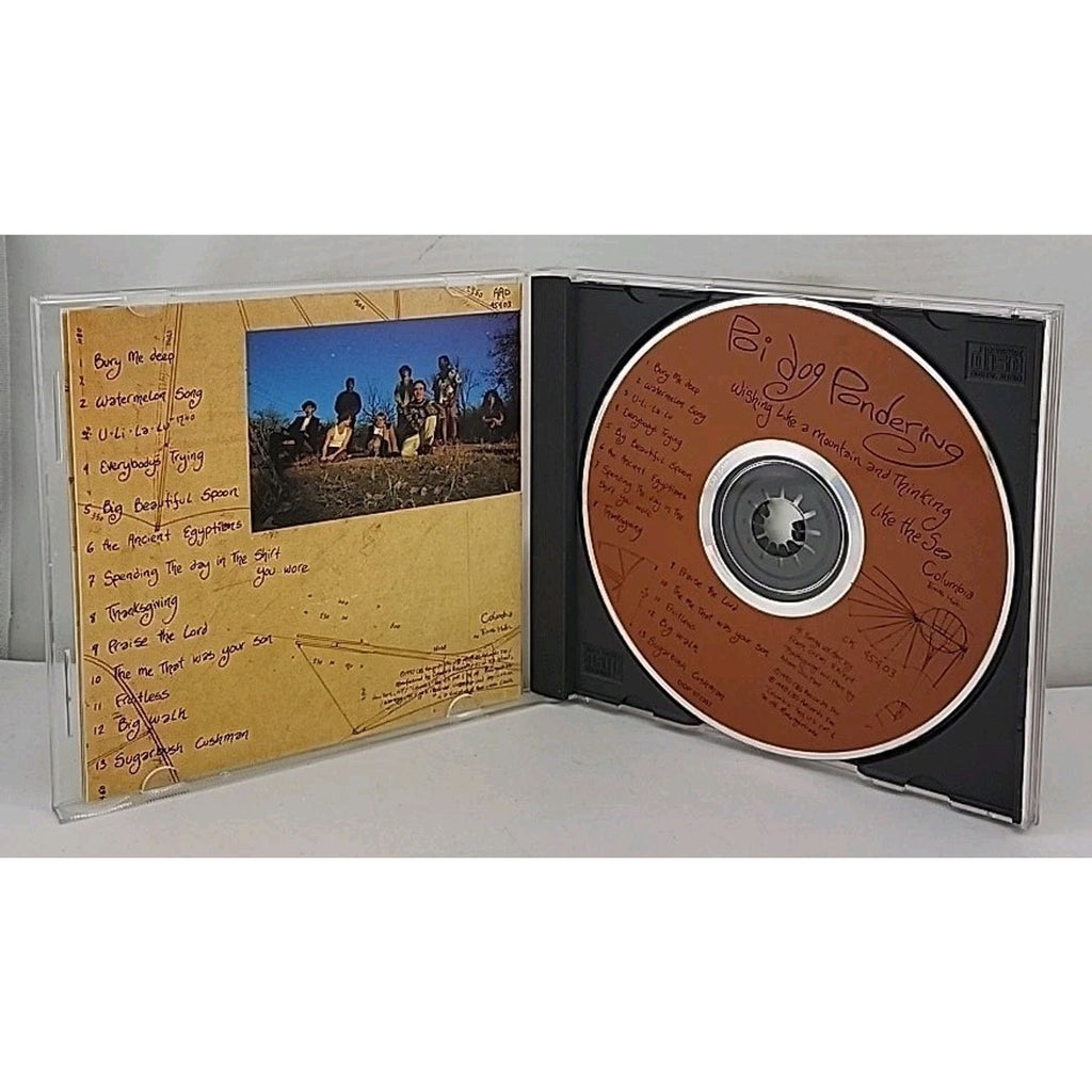 Wishing like a Mountain & Thin by Poi Dog Pondering (CD, 1990)
