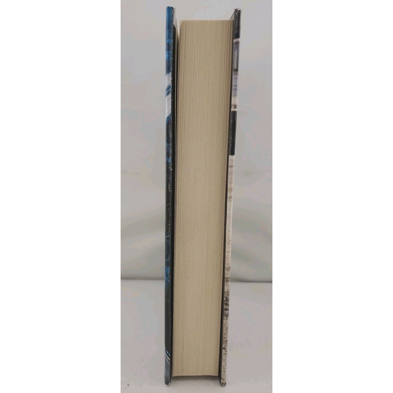 Sentinel : A Jack Reacher Novel by Lee Child and Andrew Child (2020, Hardcover)