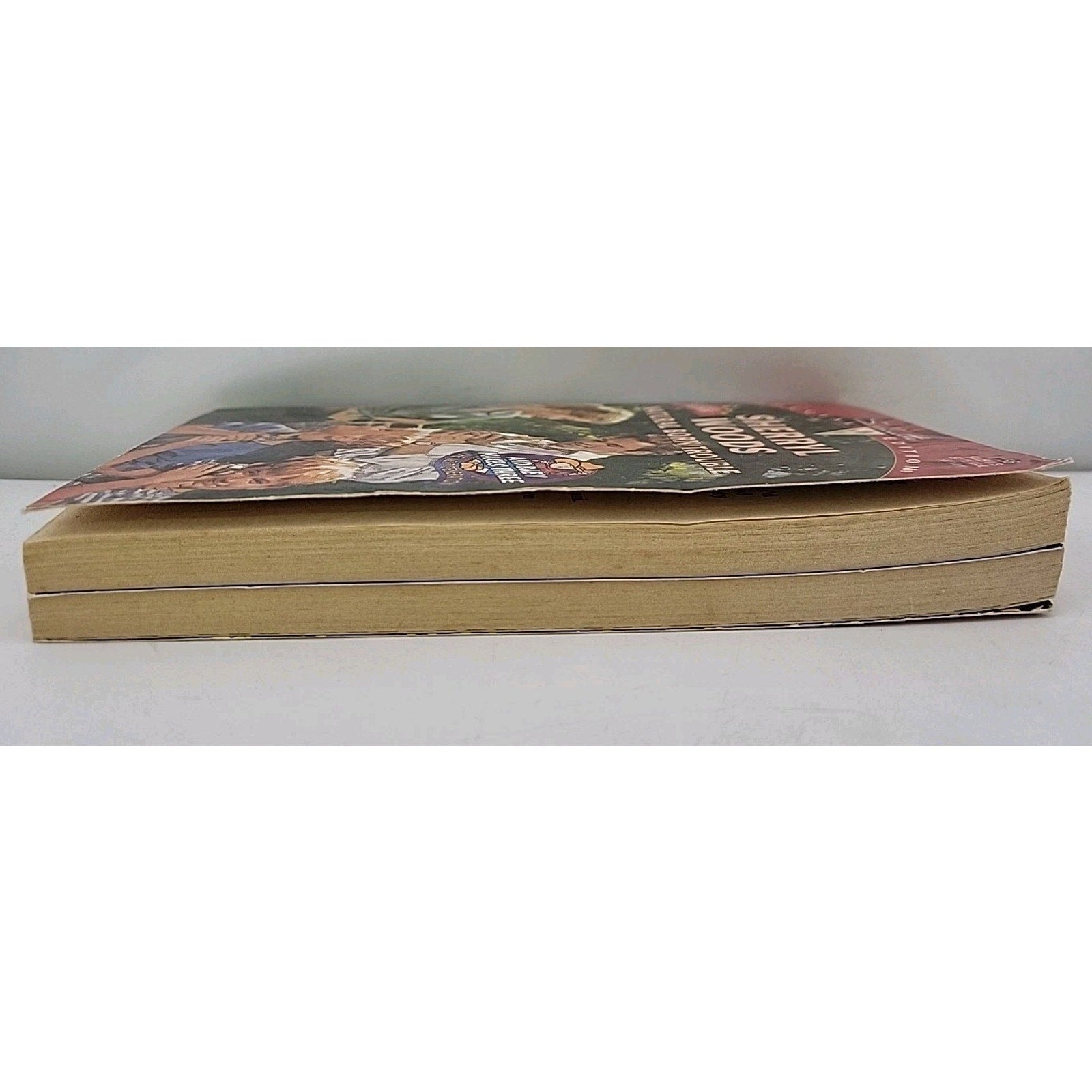 Natural Born Trouble by Sherryl Woods (1997, Mass Market)