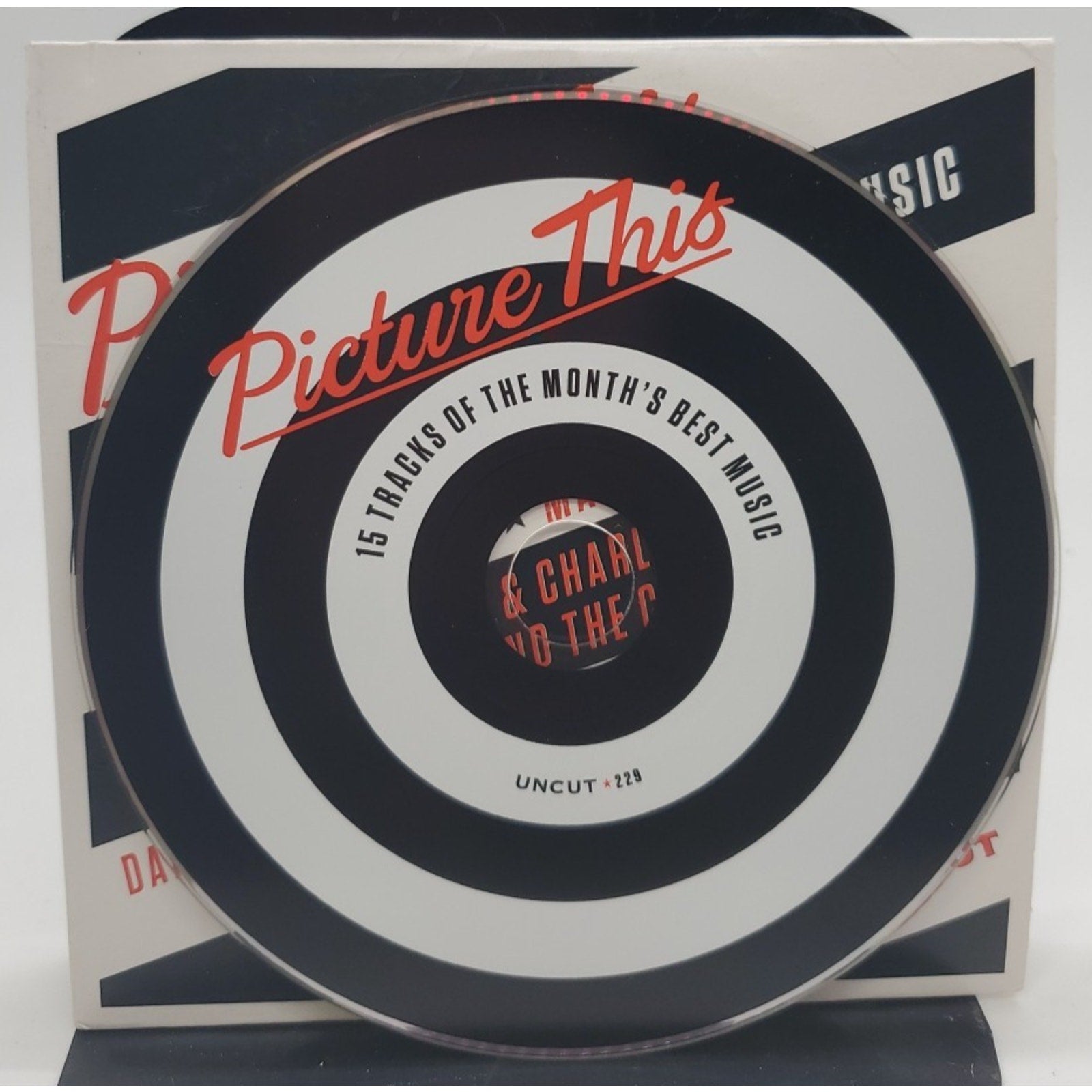 Picture This 15 Tracks Of The Month's Best Music (CD)