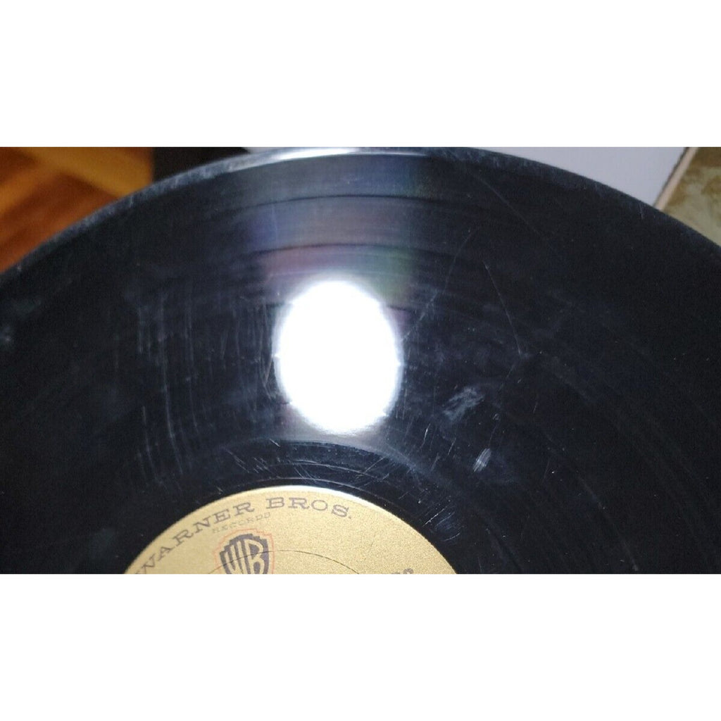 Peter Paul and Mary See What Tomorrow Brings (Record)