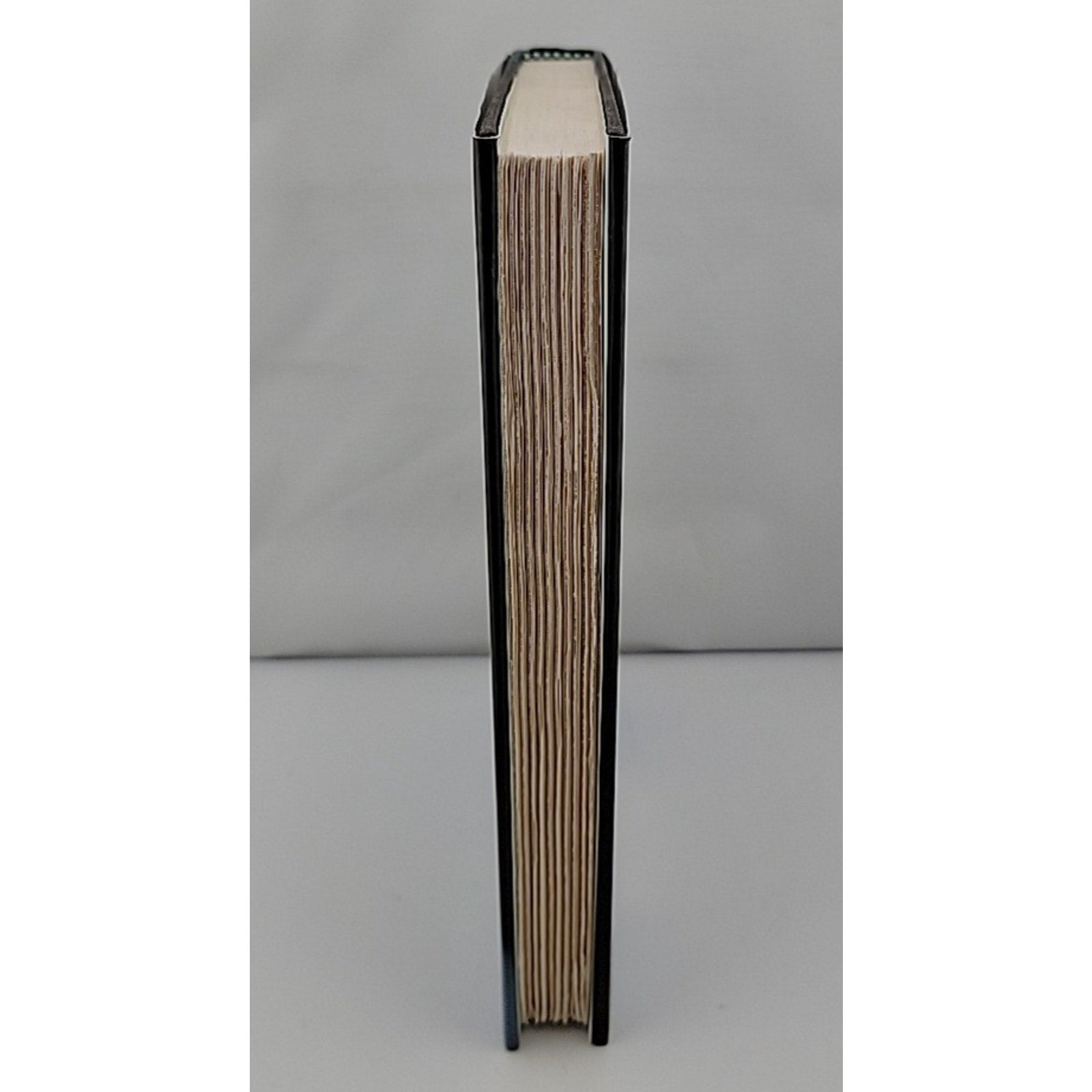Sleepyhead by Mark Billingham (2002, Hardcover)