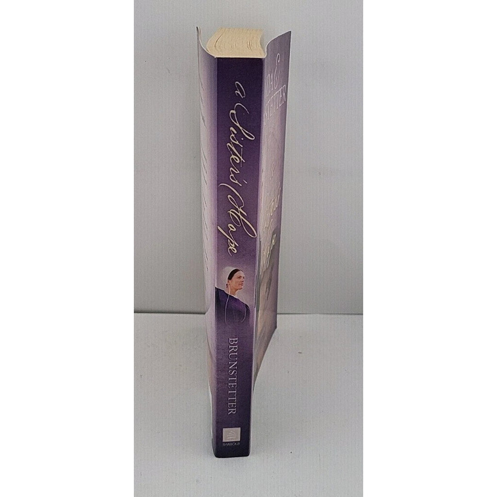 Sister's Hope by Wanda E. Brunstetter (2008, Trade Paperback)