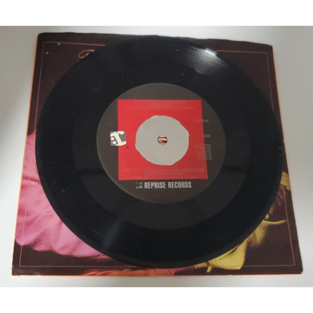 The Dream Academy The Love Parade - Picture Sleeve 45 RPM 7” Record