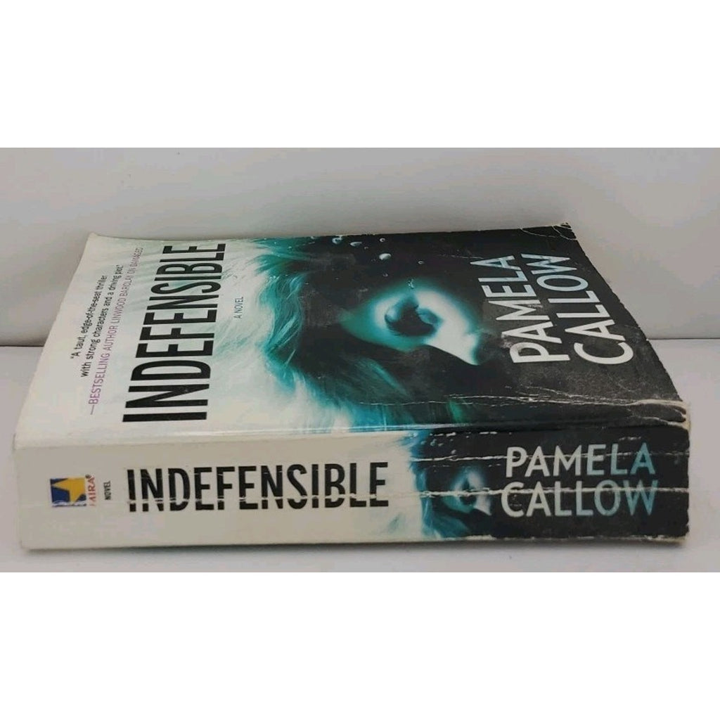 Indefensible by Pamela Callow (2010, Mass Market)