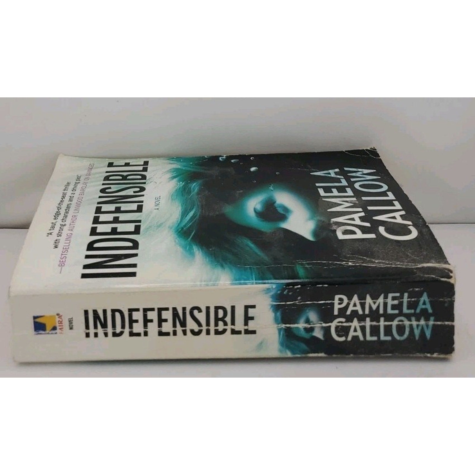 Indefensible by Pamela Callow (2010, Mass Market)