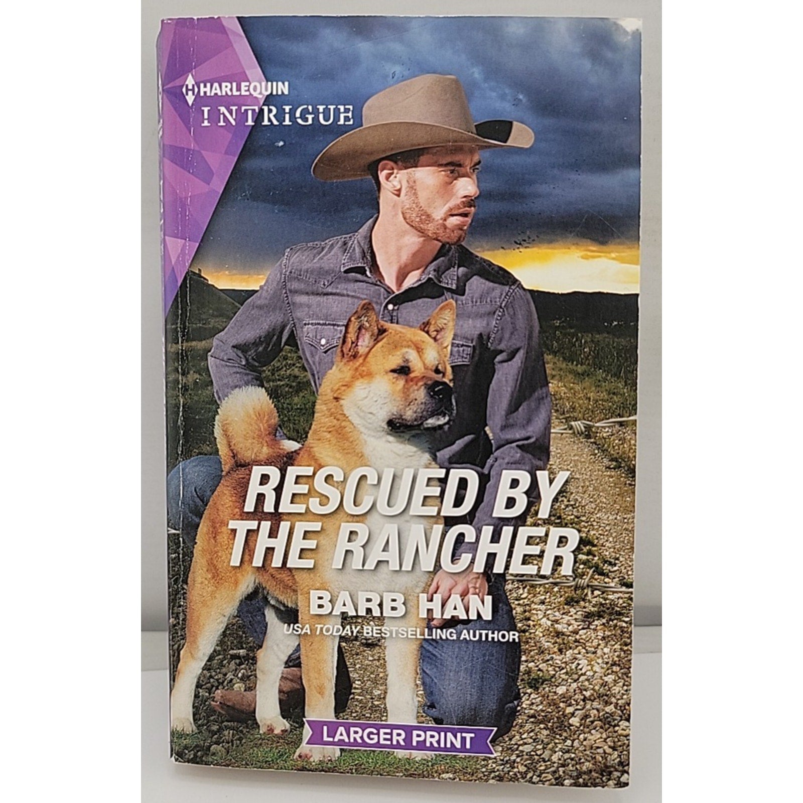 Rescued by the Rancher : A Montana Western Mystery by Barb Han (2023, Mass...