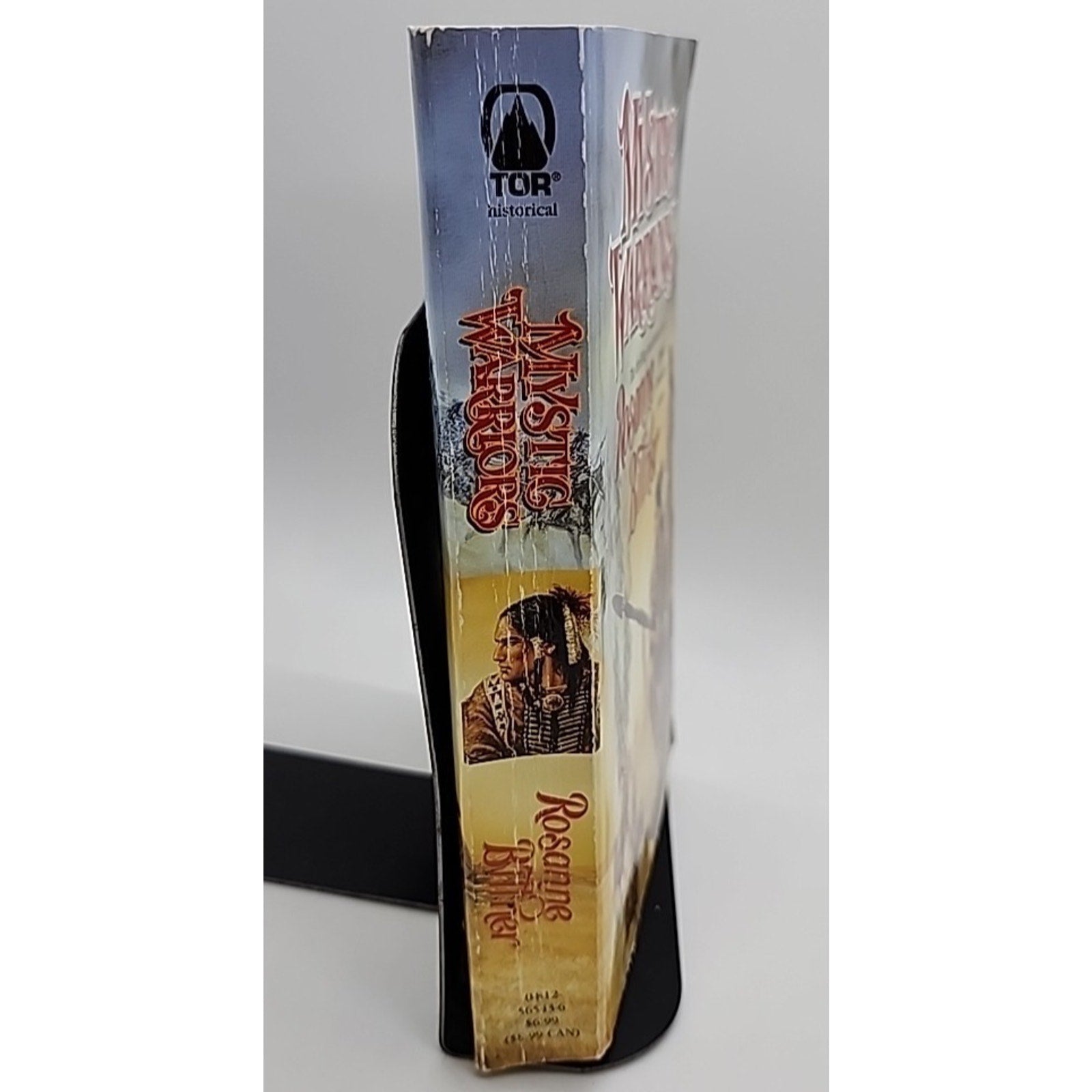 Mystic Warriors by Rosanne Bittner (2002, Mass Market)