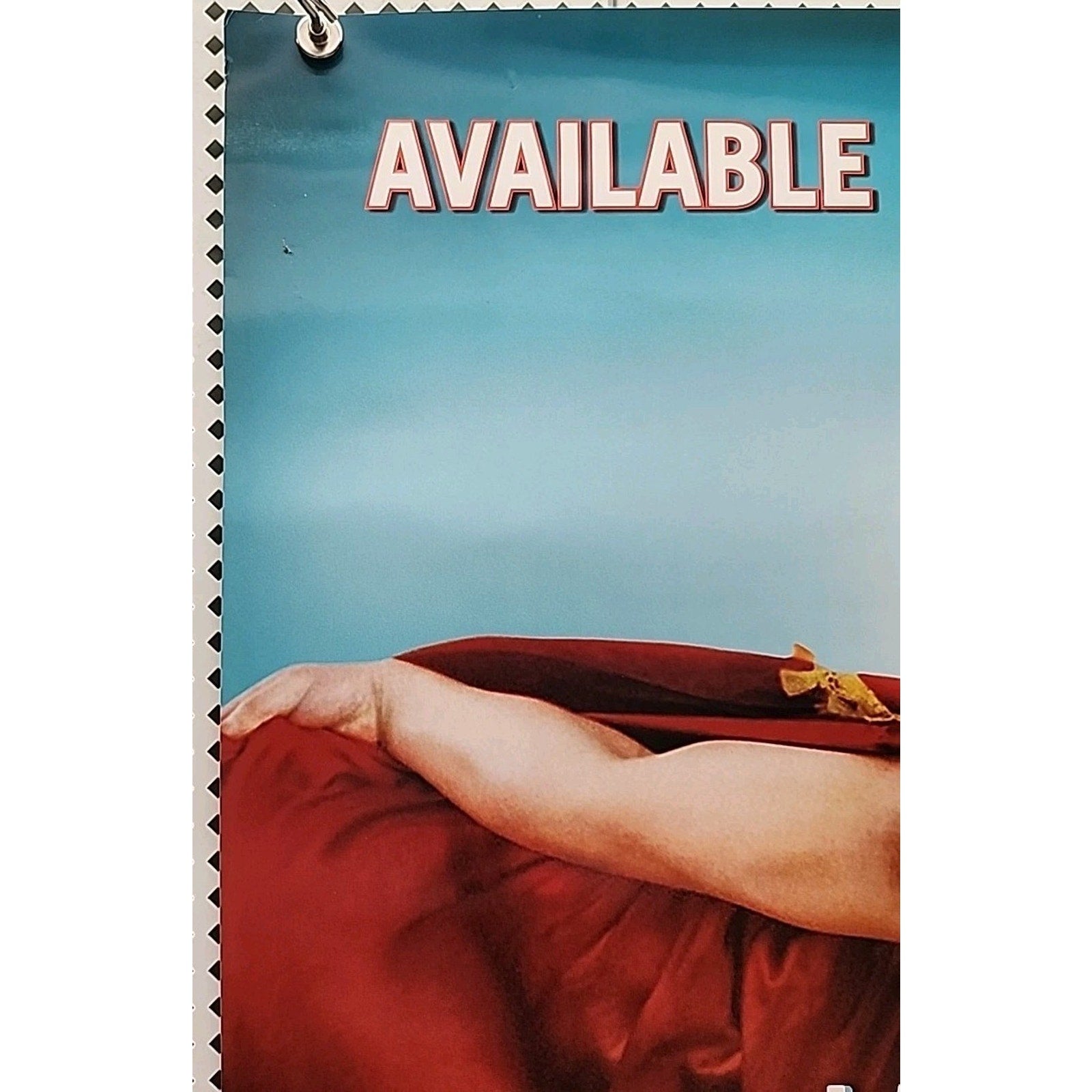 Nacho Libre Video Release Poster 27x41